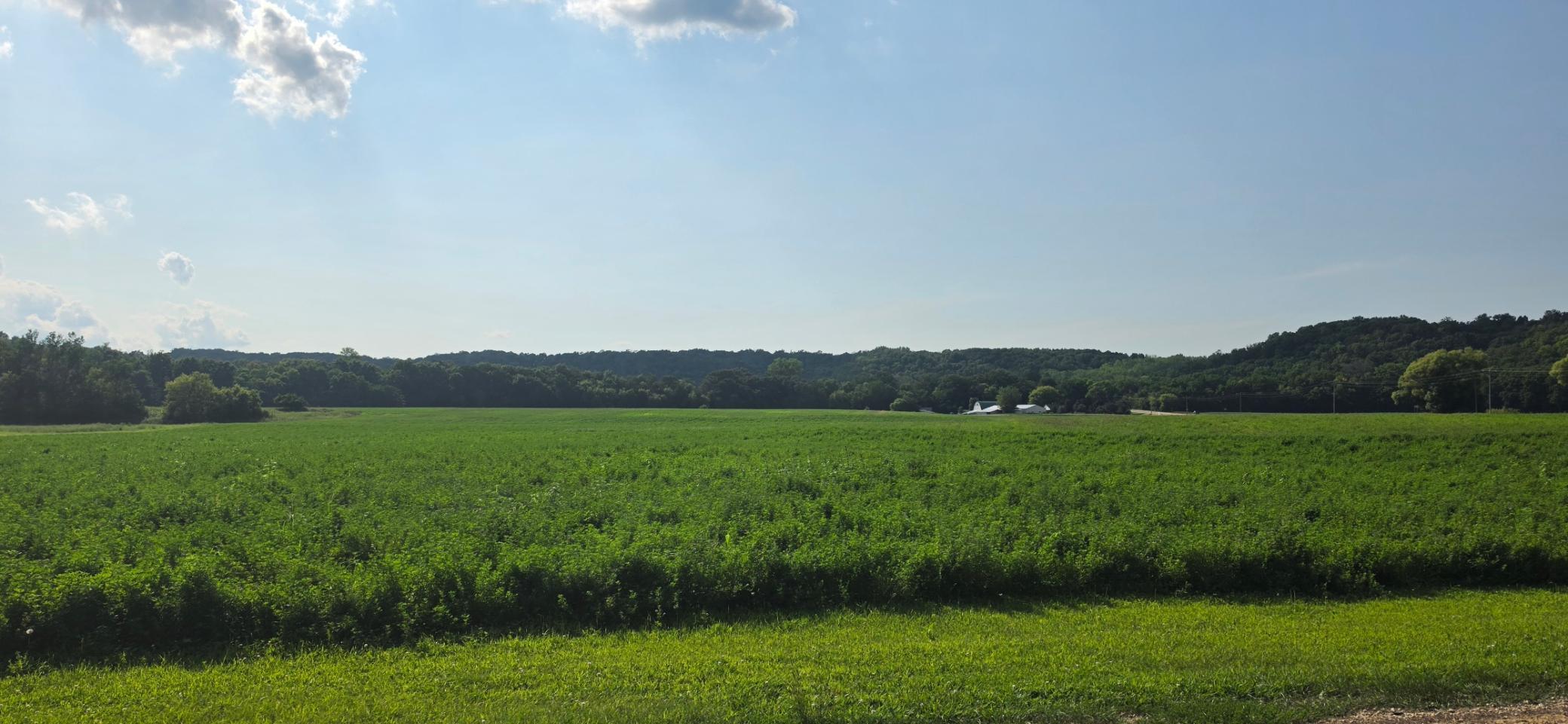 21 County Road Property Photo 8