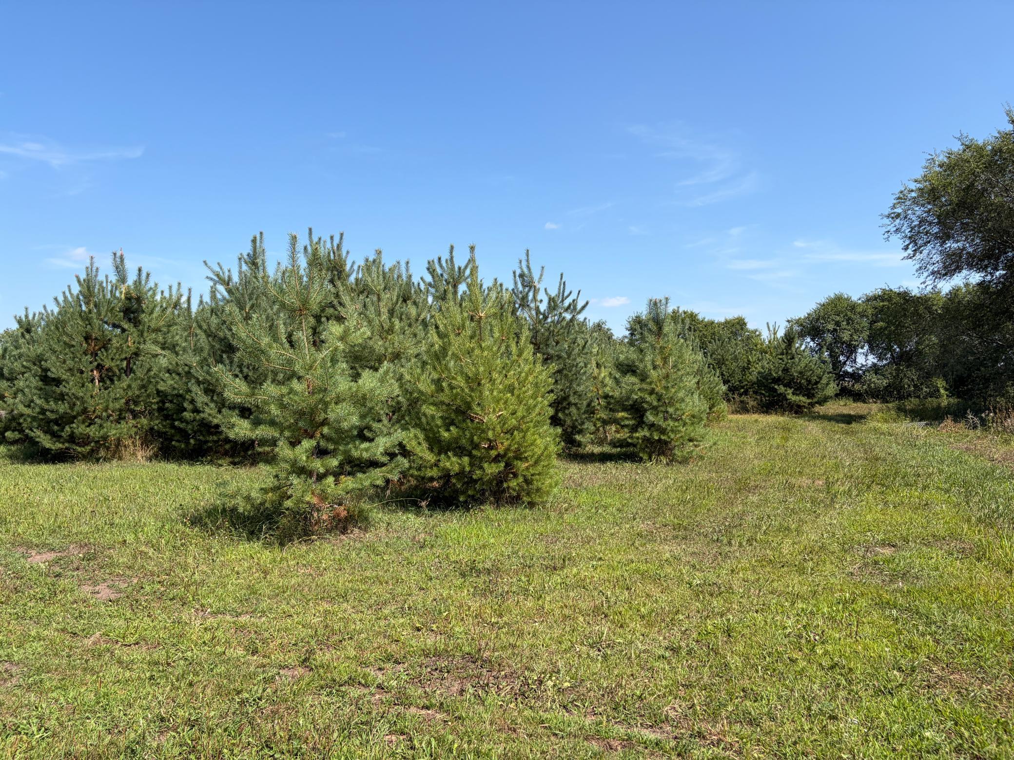 17938 Us 71 Property Photo 51
