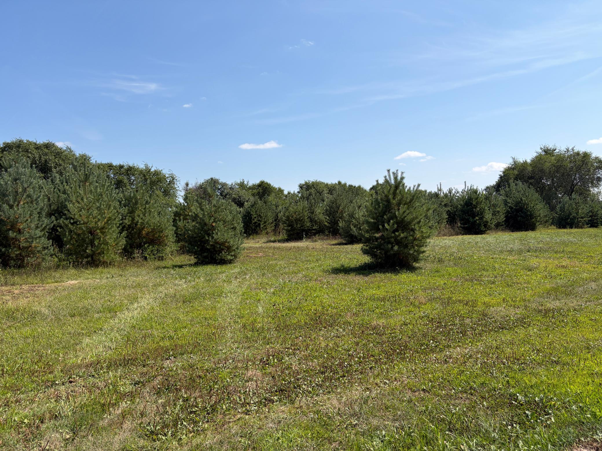 17938 Us 71 Property Photo 57