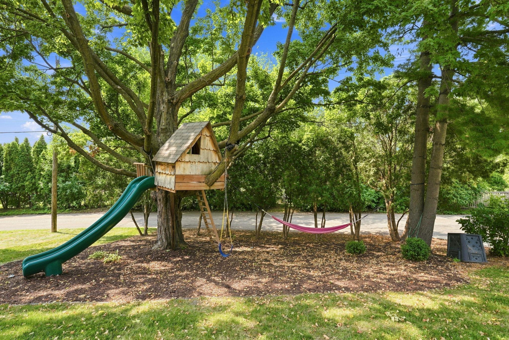 29 Orme Court Property Photo 33