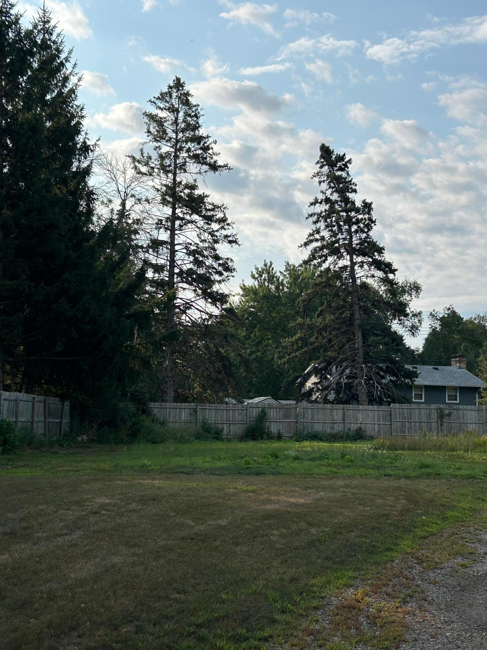 Tbd Pearson Way Ne Property Photo 2