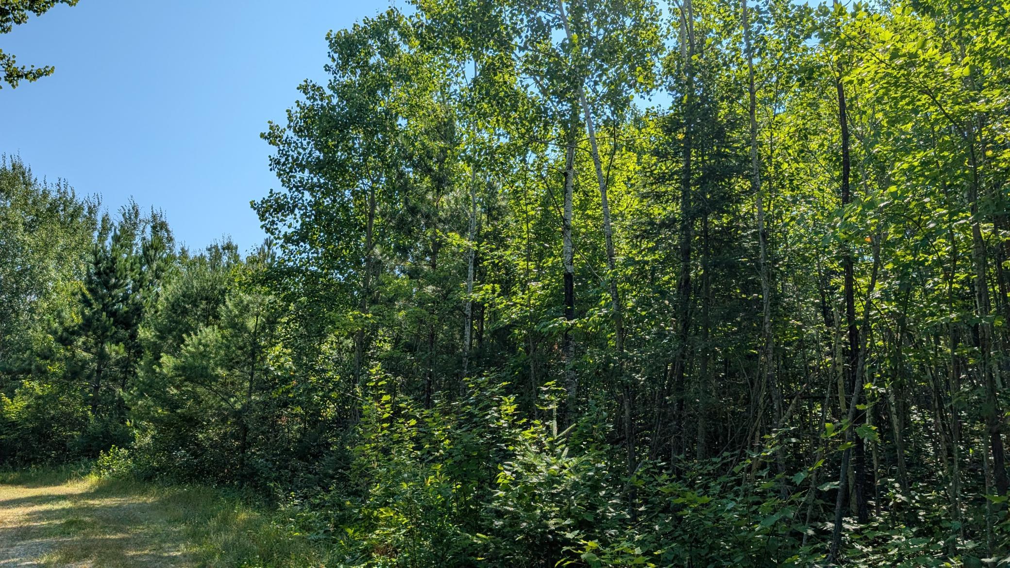 Tbd Kennedy Rd Property Photo 3