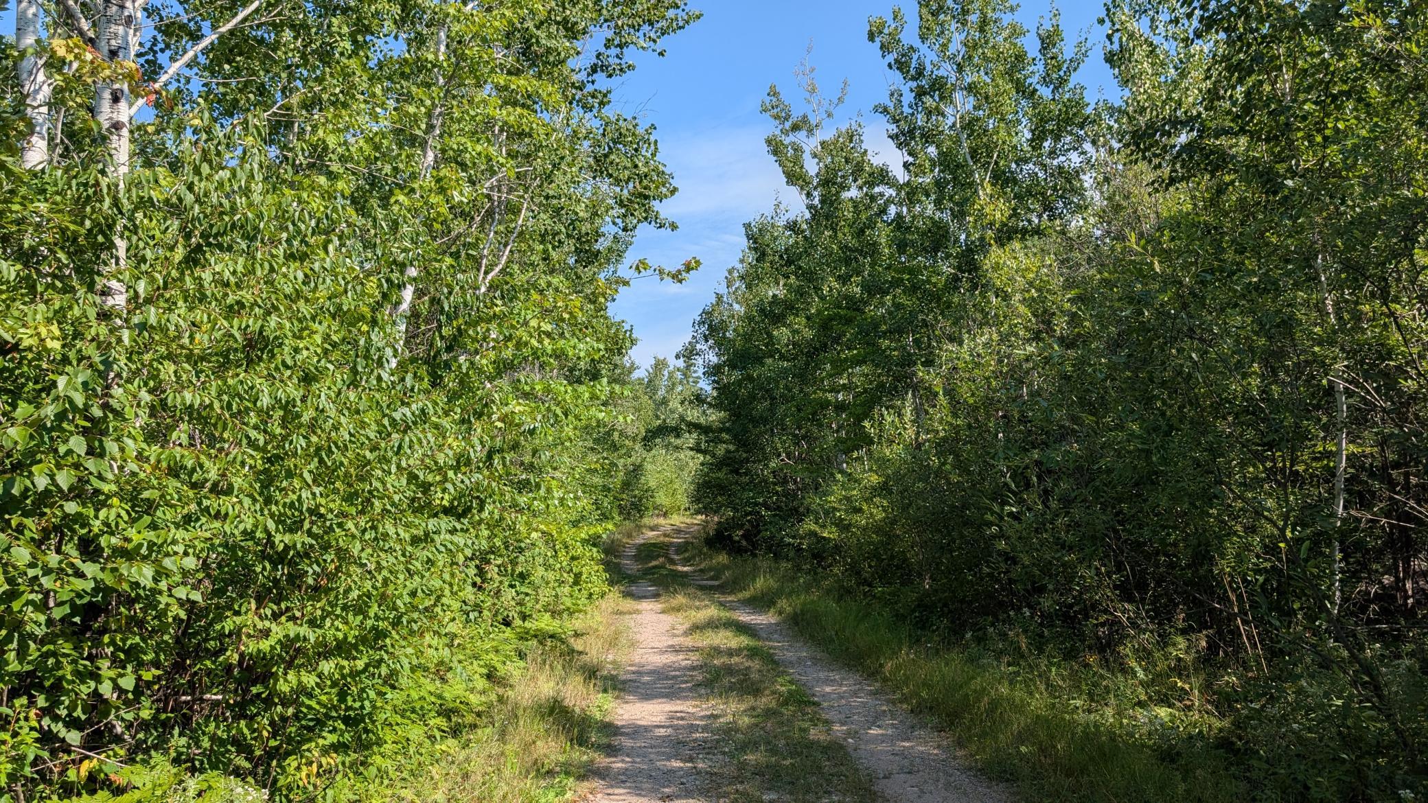 Tbd Kennedy Rd Property Photo 4