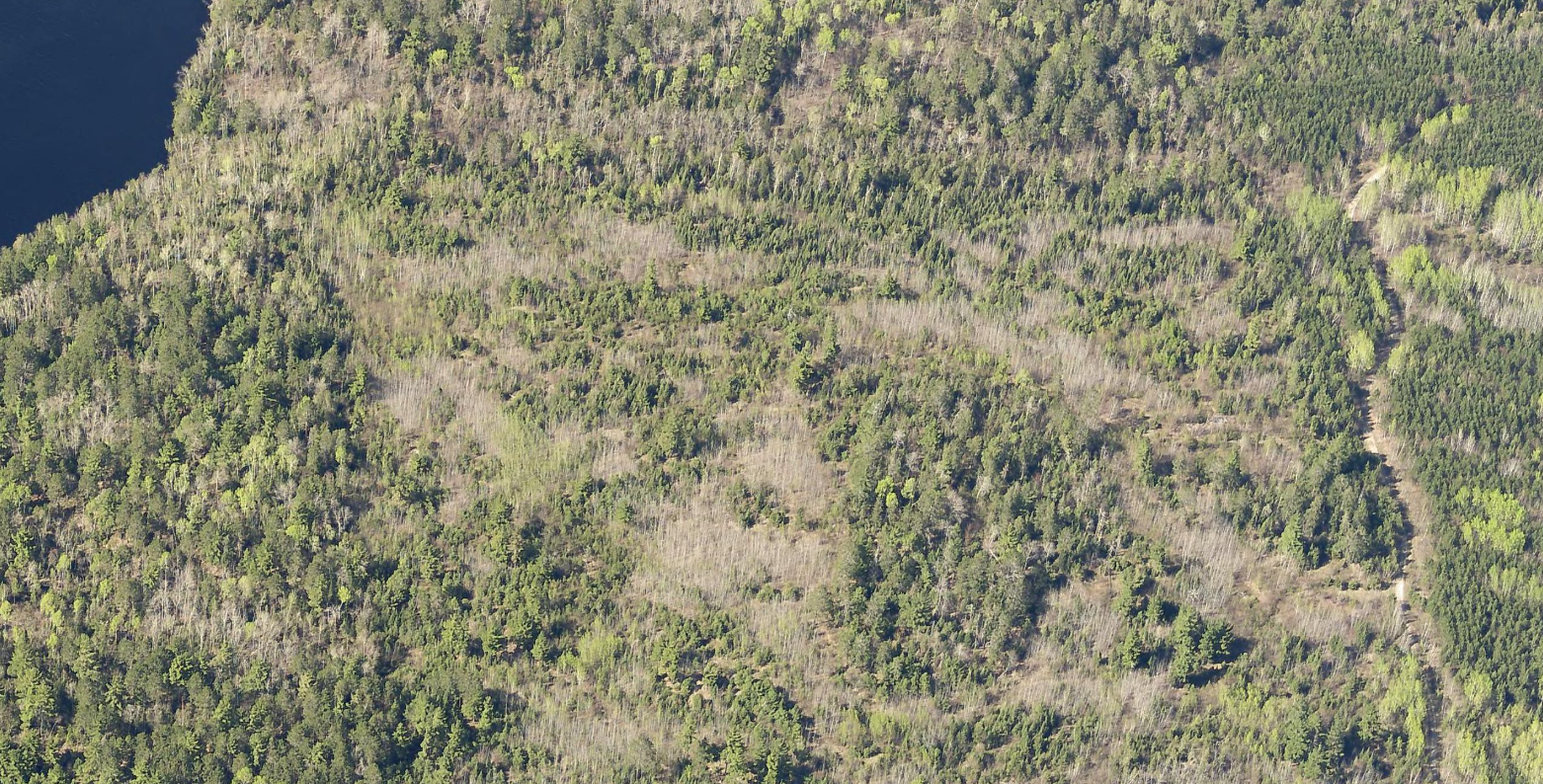 Tbd Kennedy Rd Property Photo 6