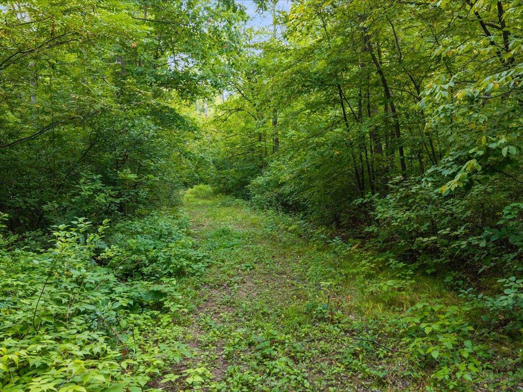 Tbd Highway 6 Property Photo 15