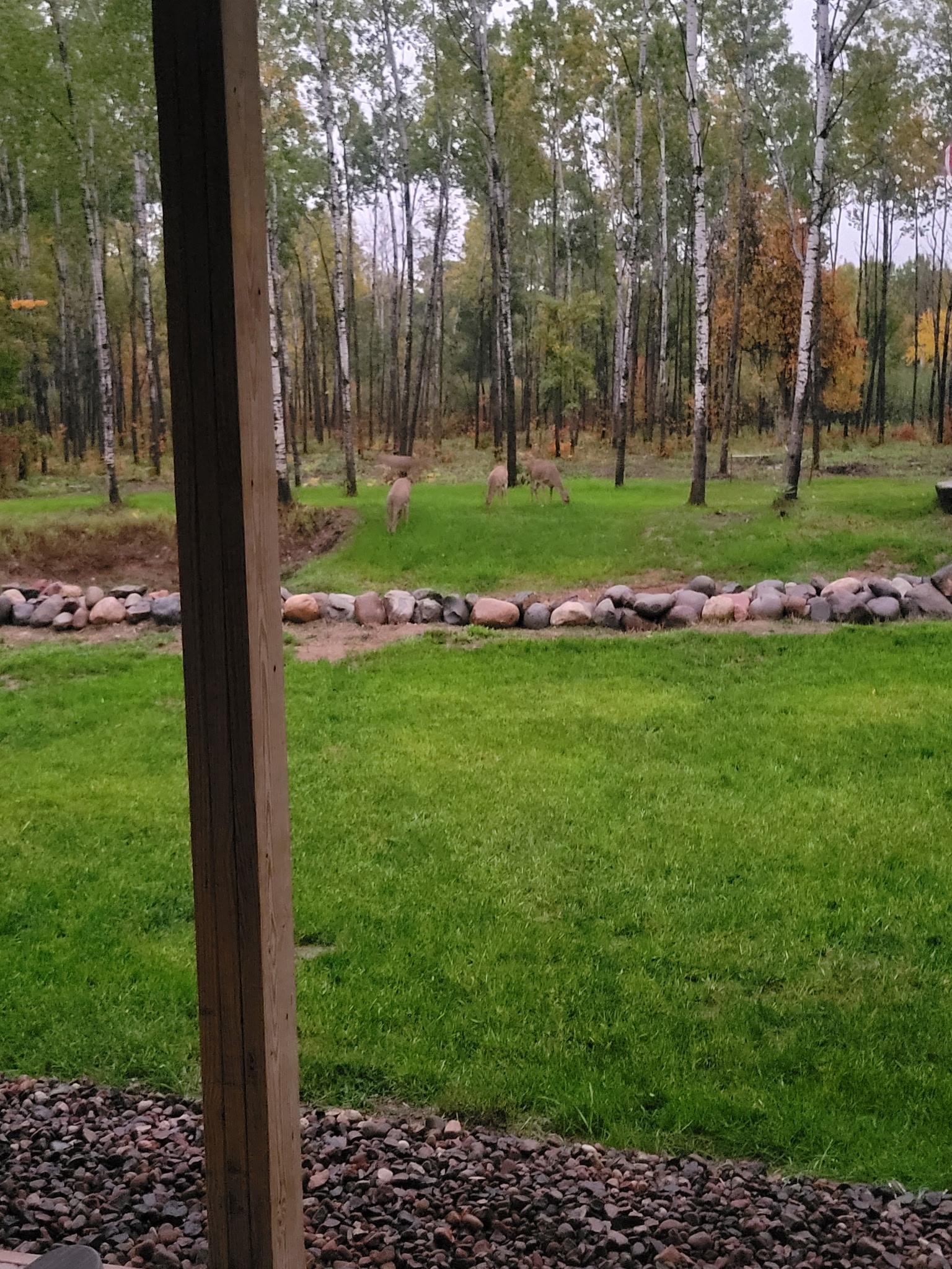64680 Creekview Lane Property Photo 6