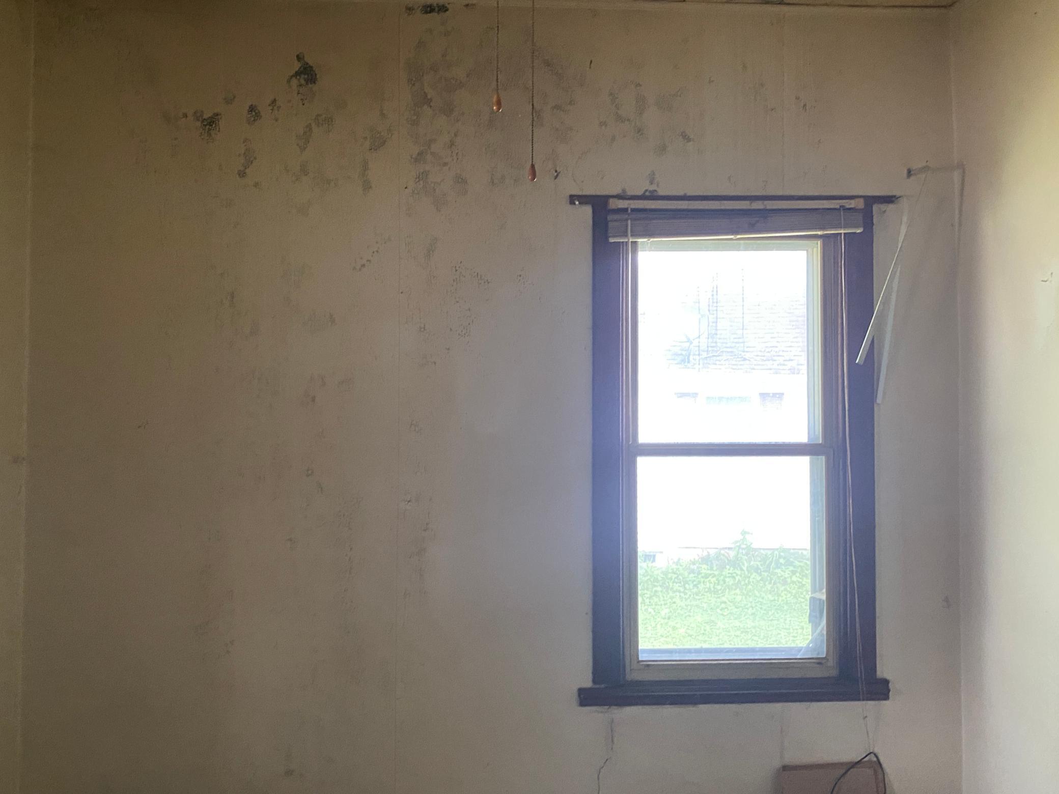 113 S 6th Avenue Property Photo 8