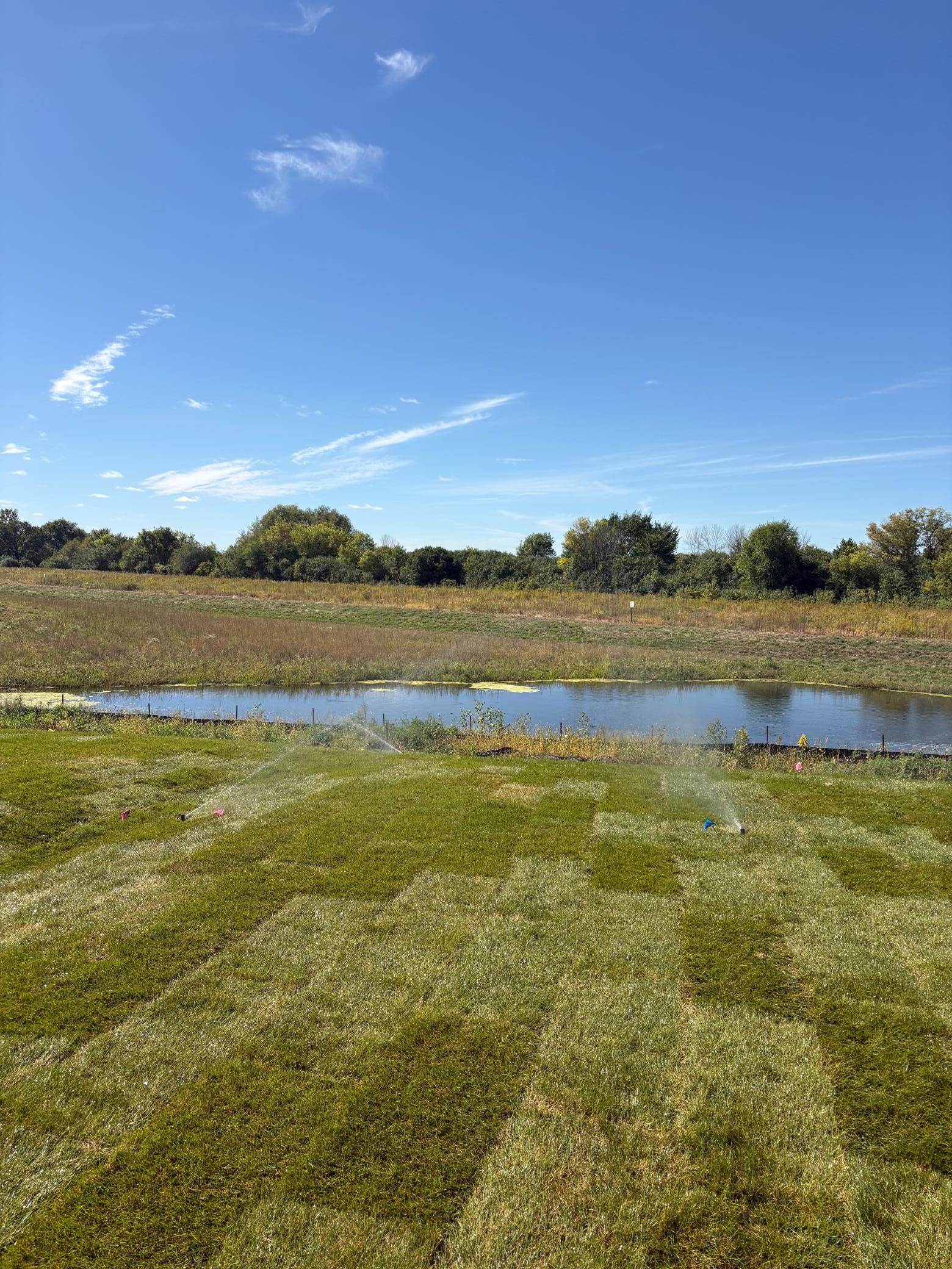 21745 Rose Drive Property Photo 15