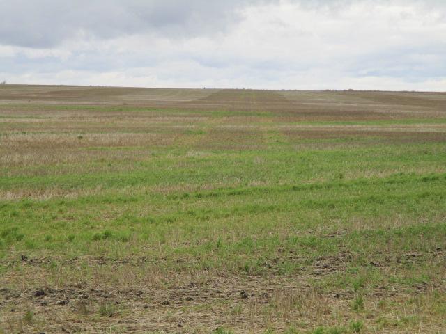 Tbd Tbd Property Photo 1