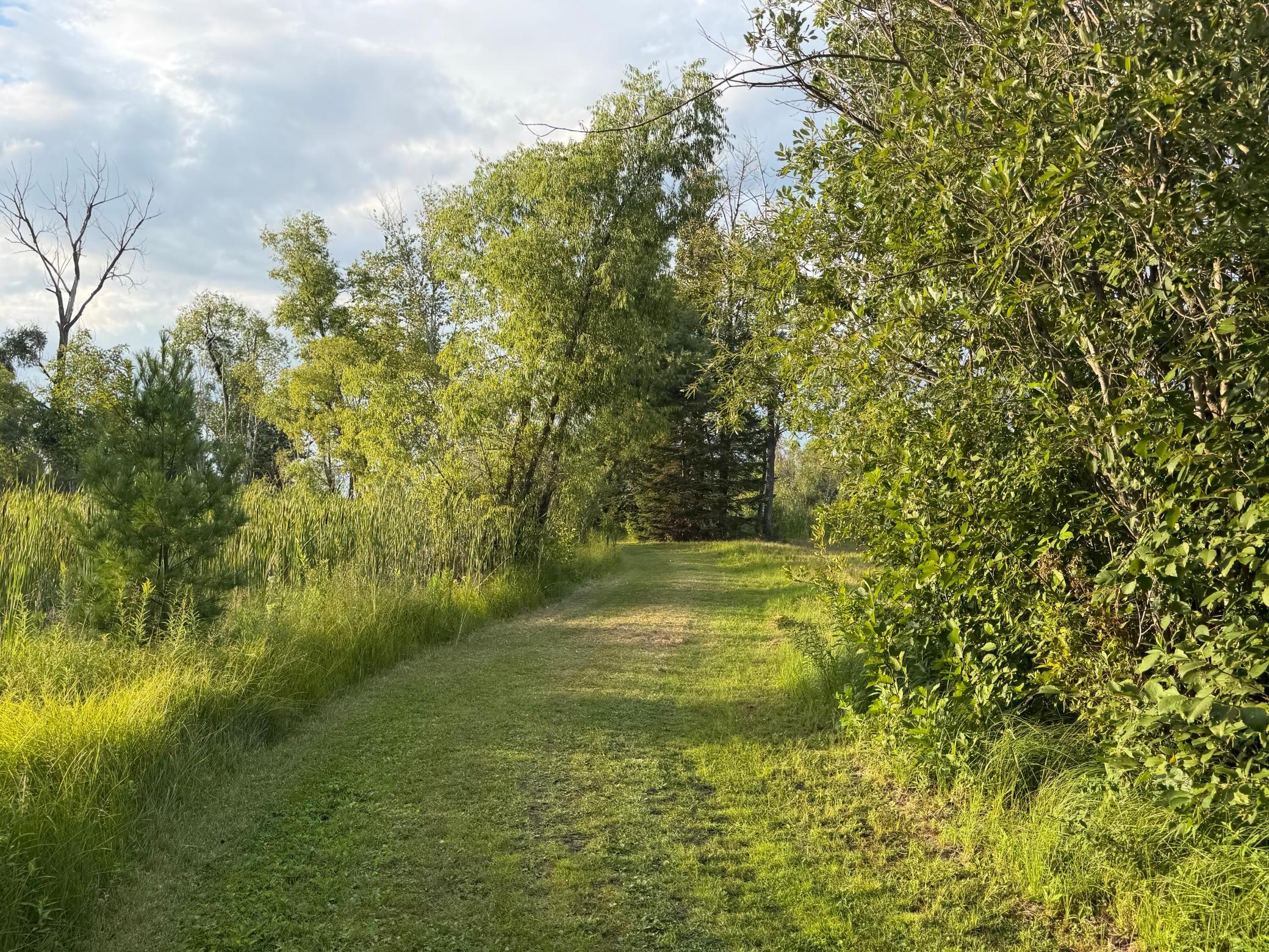 Tbd Fork Ln Property Photo 30