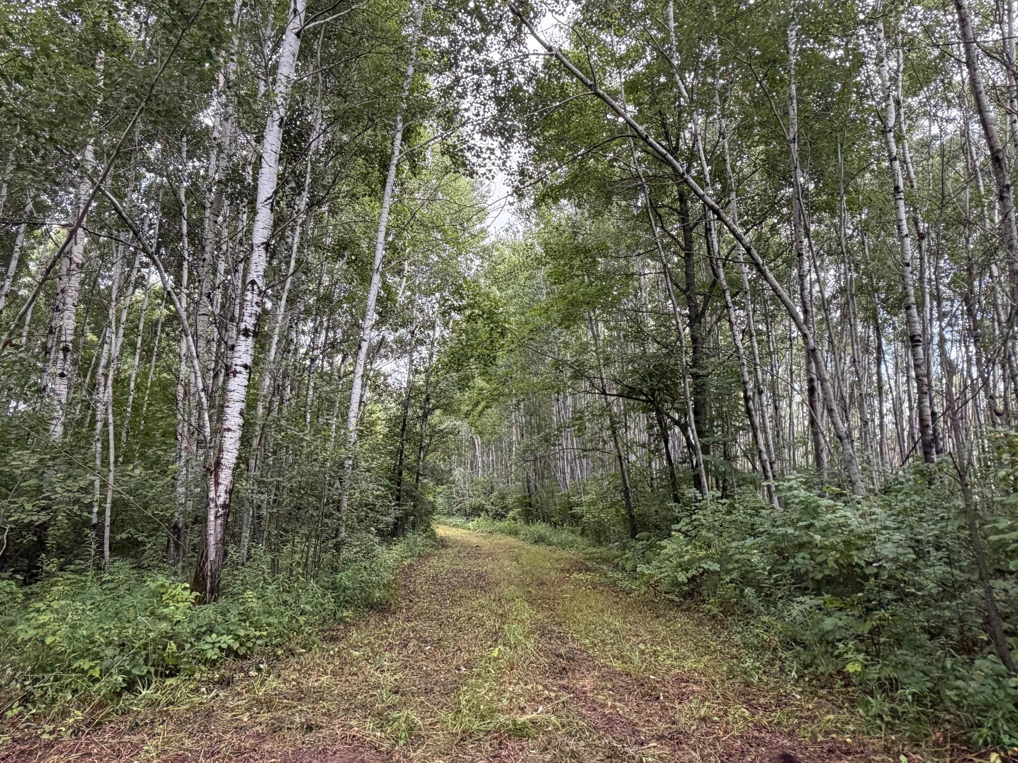 Tbd County Road 12 Property Photo 1