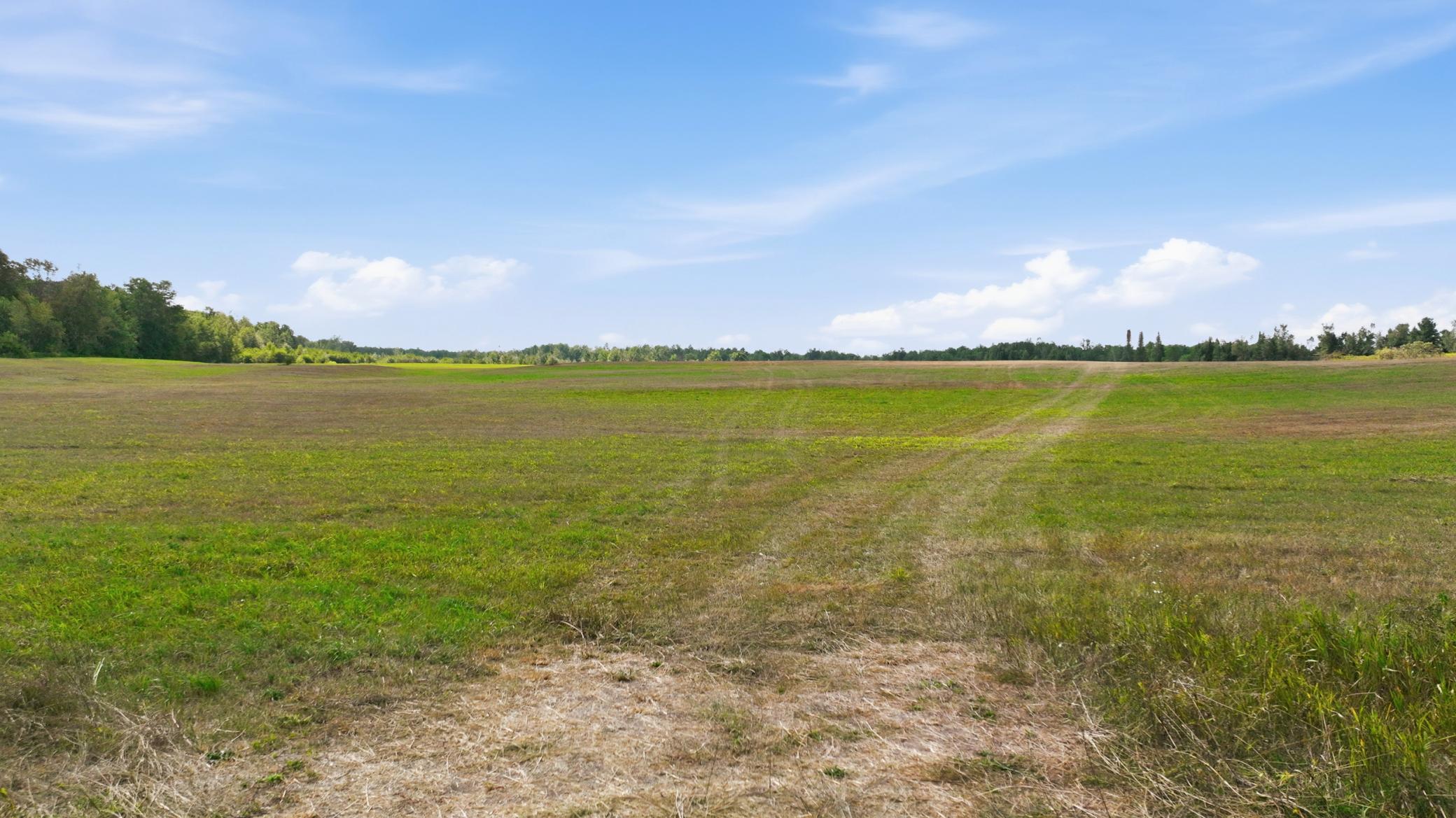 10 Acres State Hwy 40 Property Photo 5
