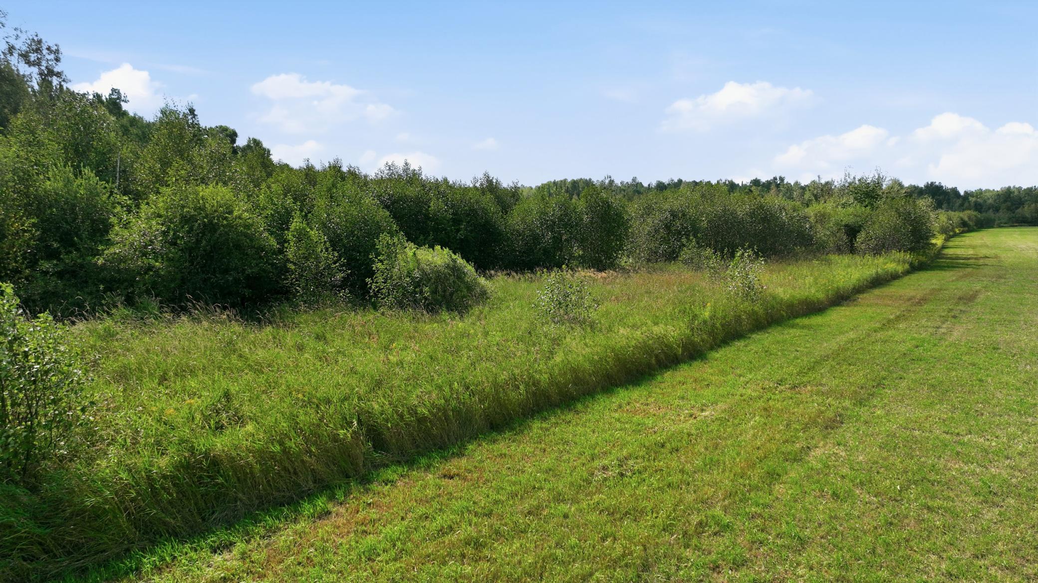 10 Acres State Hwy 40 Property Photo 8