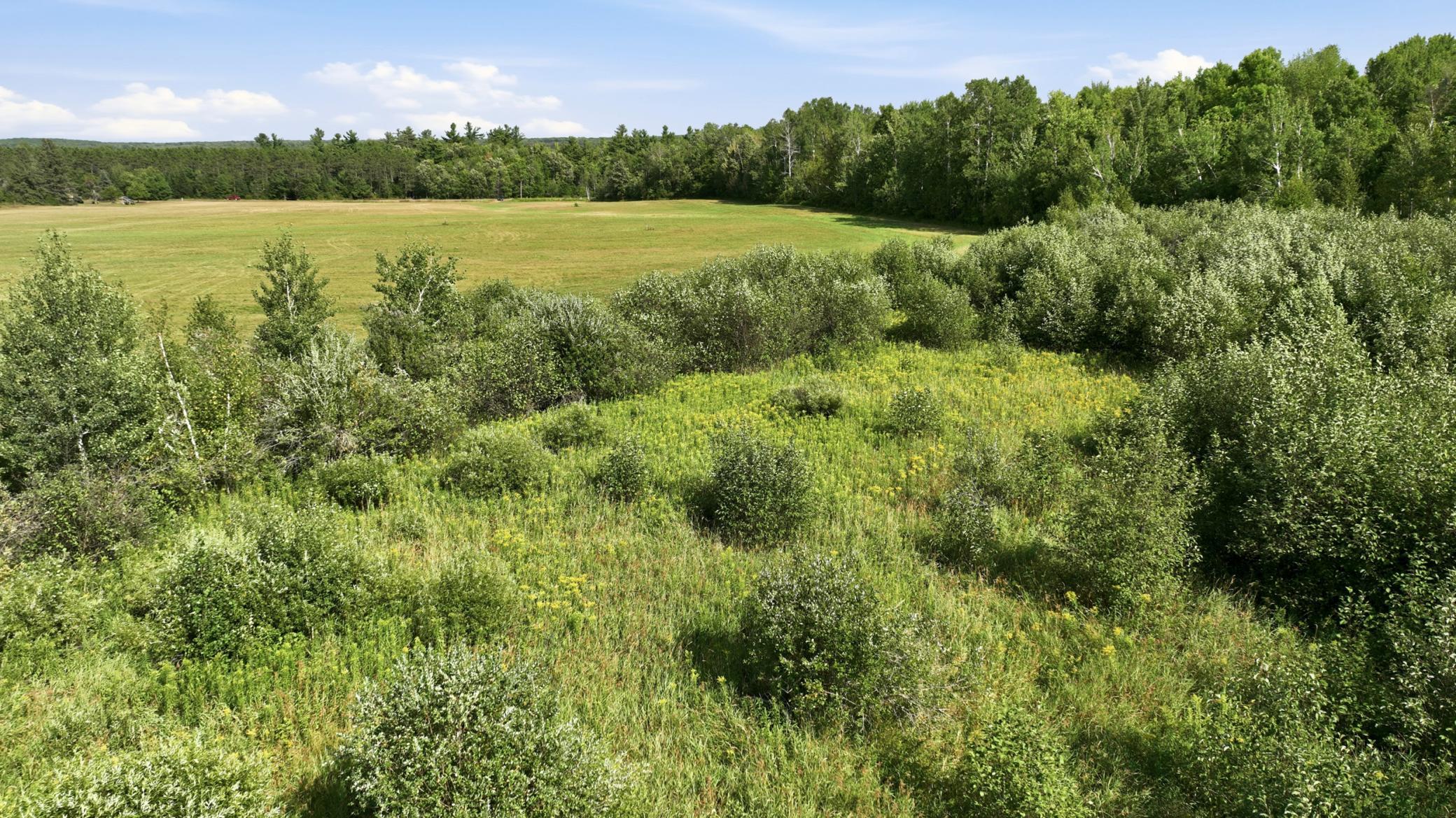 10 Acres State Hwy 40 Property Photo 10
