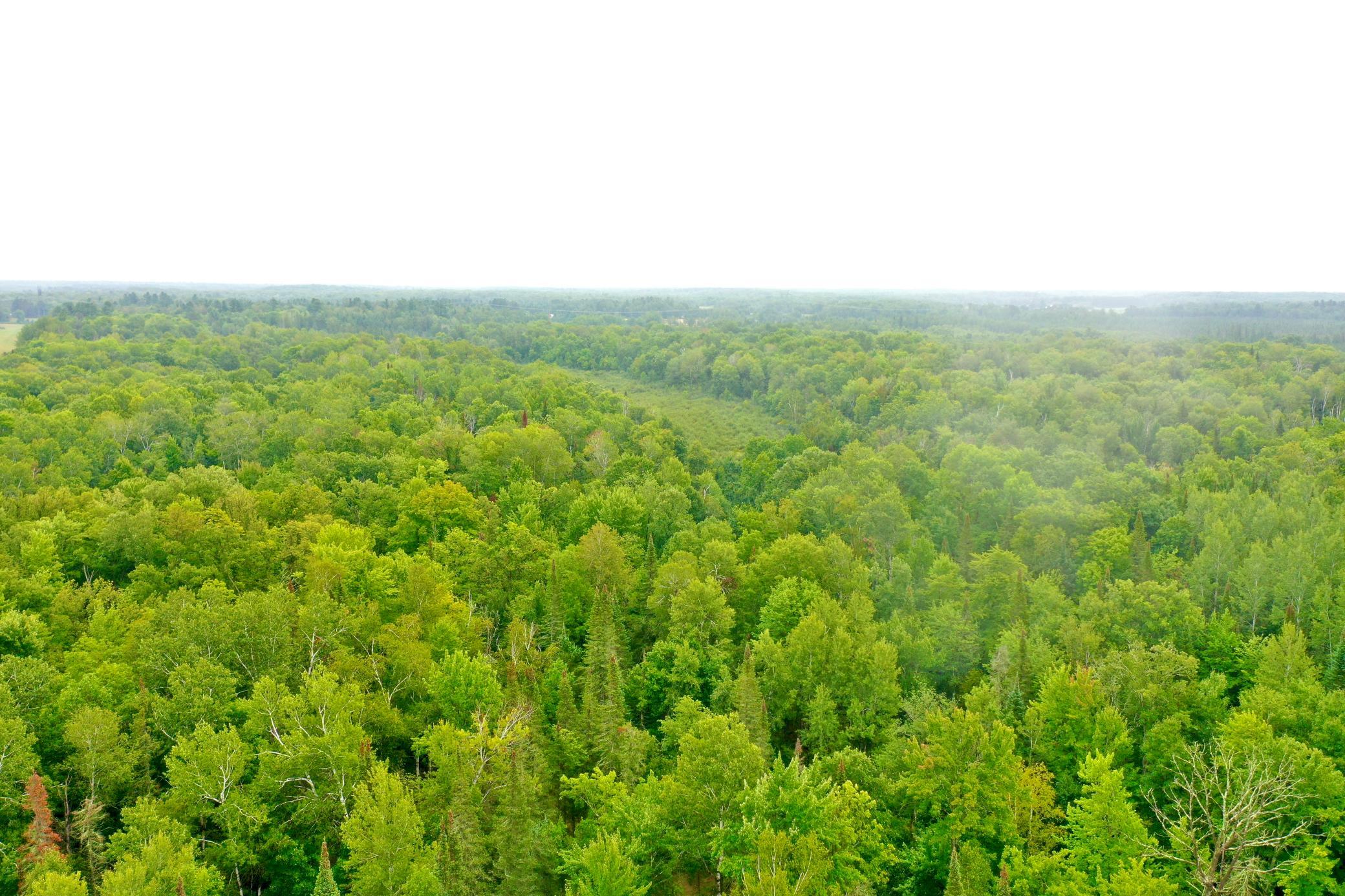 17001 White Spruce Road Property Photo 4