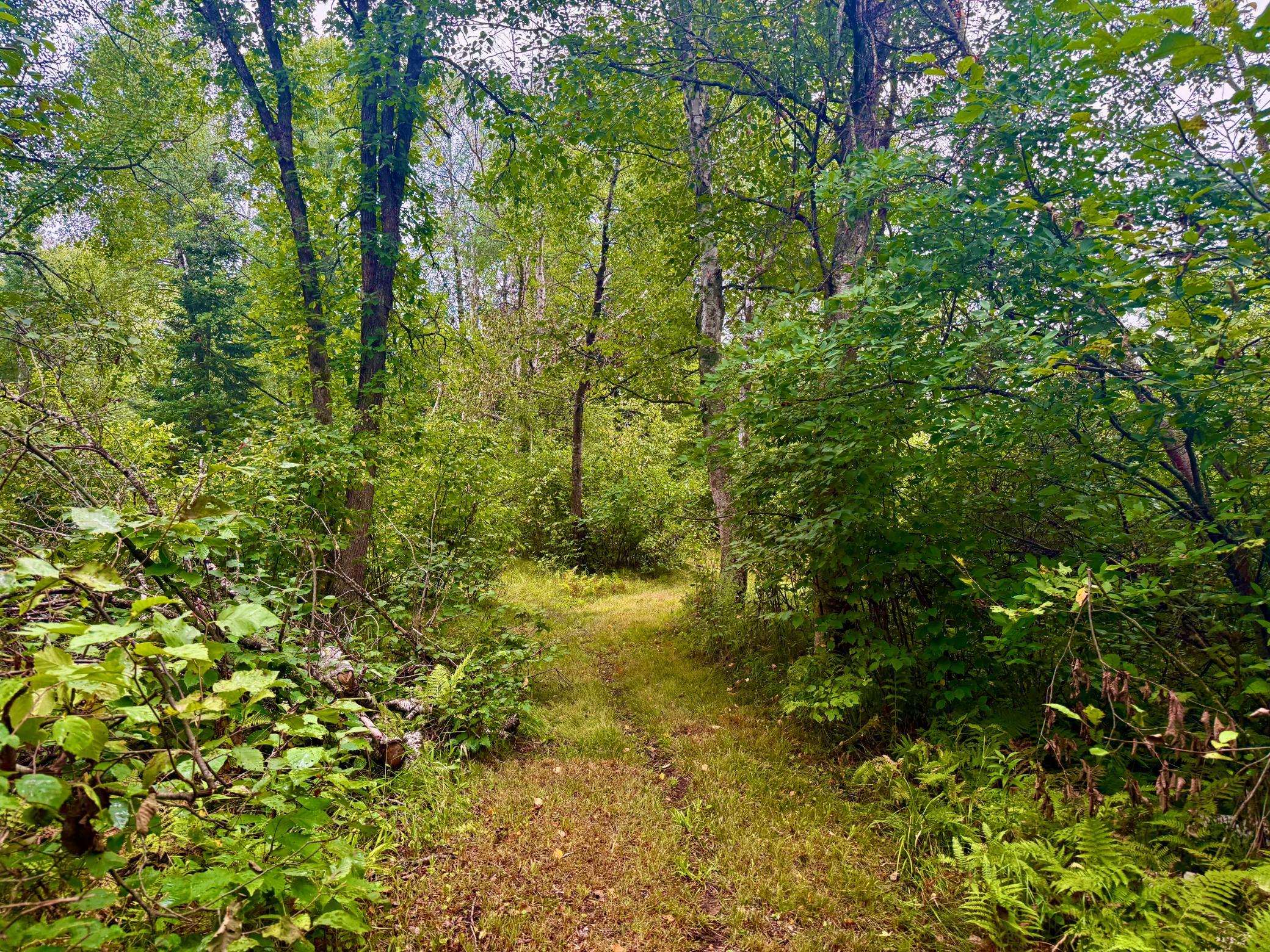 17001 White Spruce Road Property Photo 11
