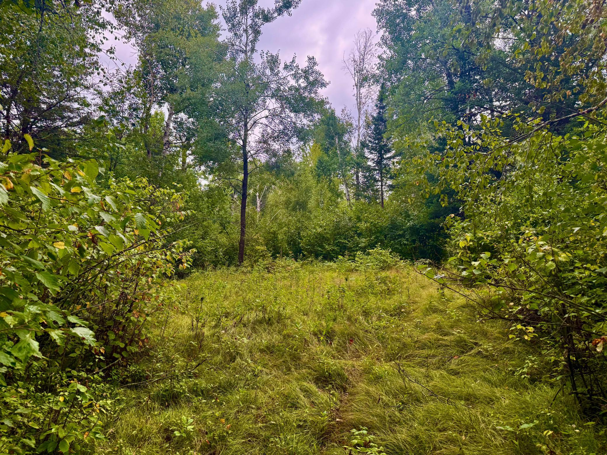 17001 White Spruce Road Property Photo 12