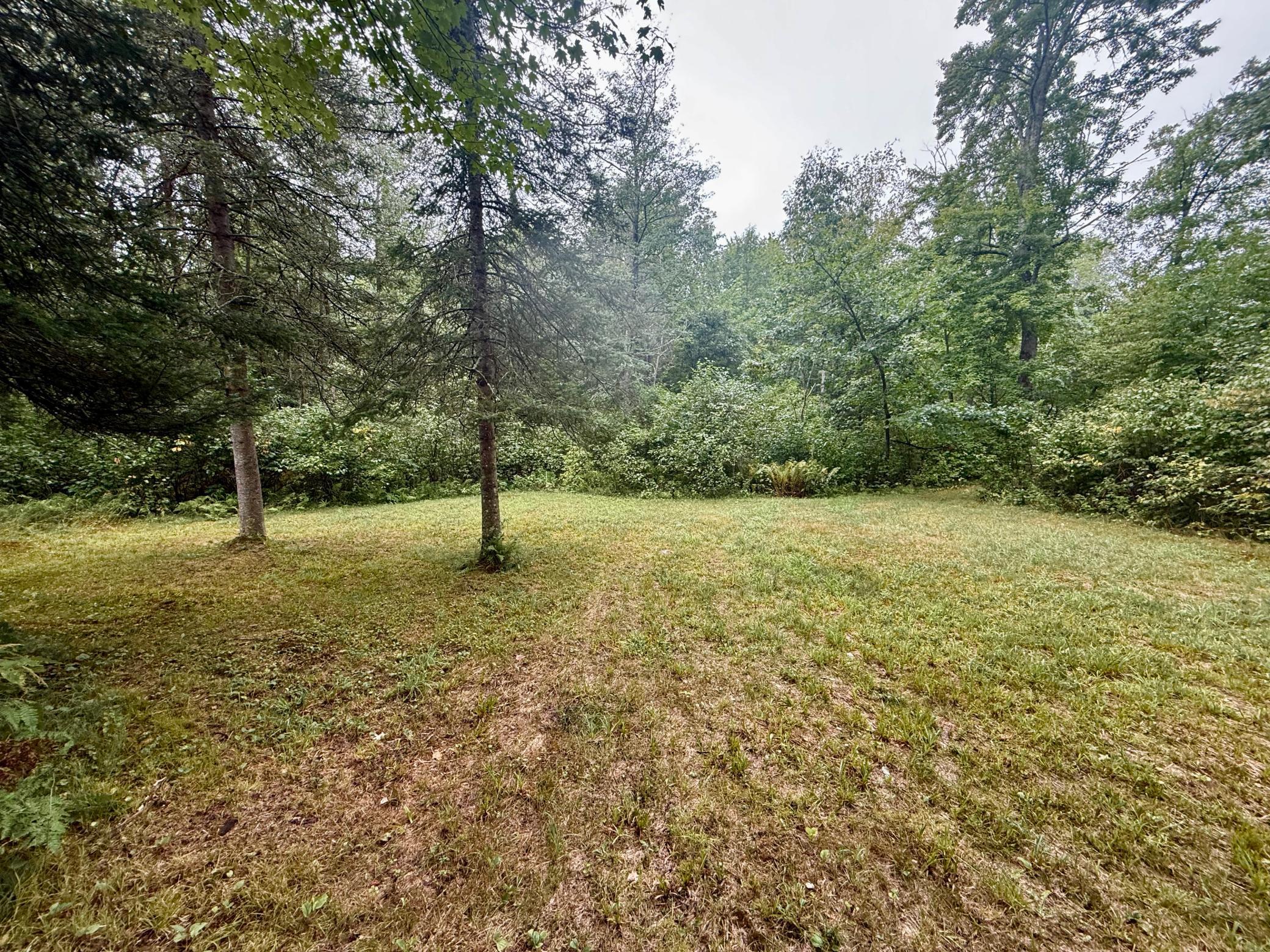 17001 White Spruce Road Property Photo 19