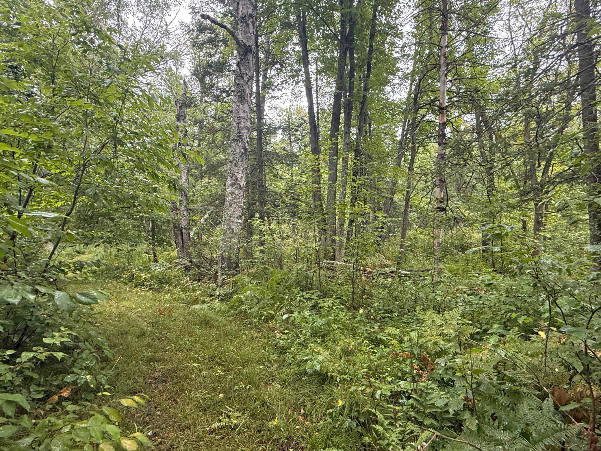 17001 White Spruce Road Property Photo 20