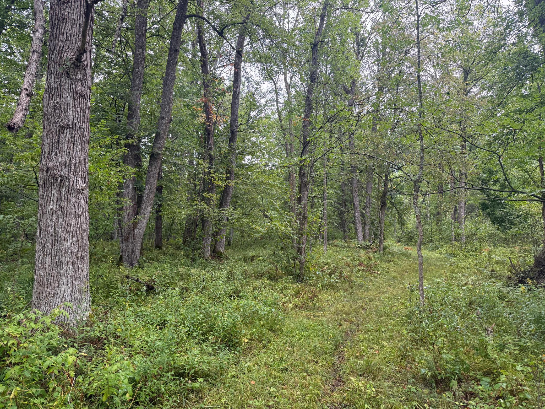 17001 White Spruce Road Property Photo 21