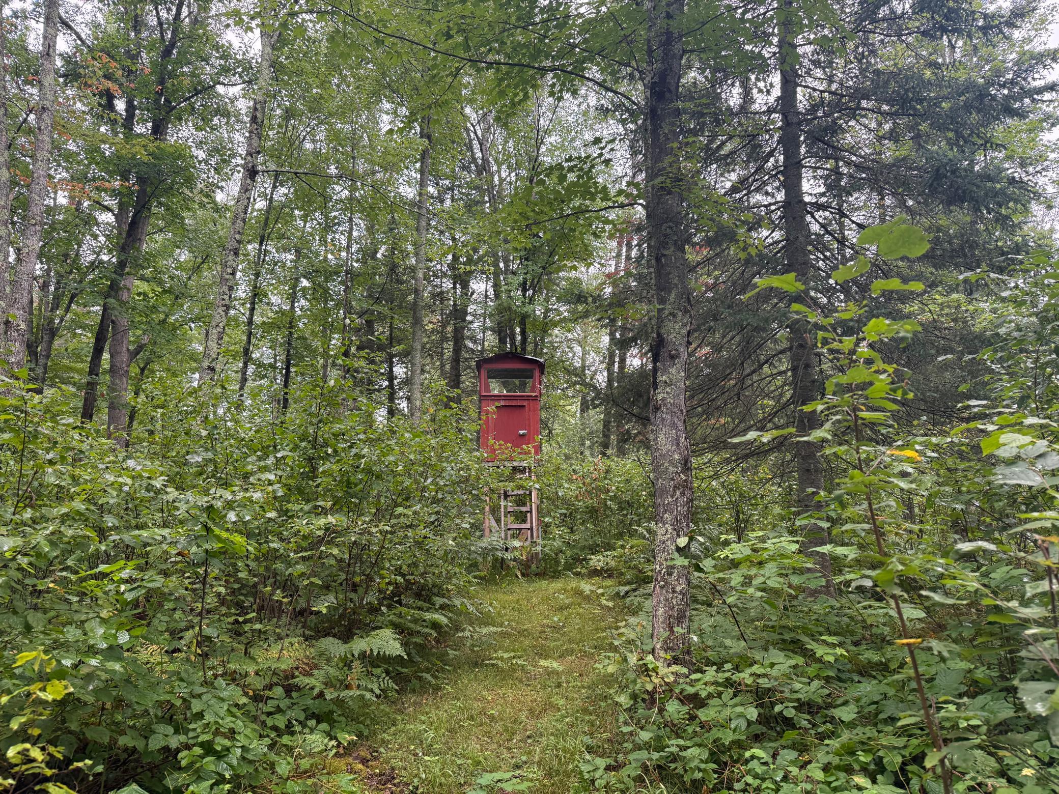 17001 White Spruce Road Property Photo 22