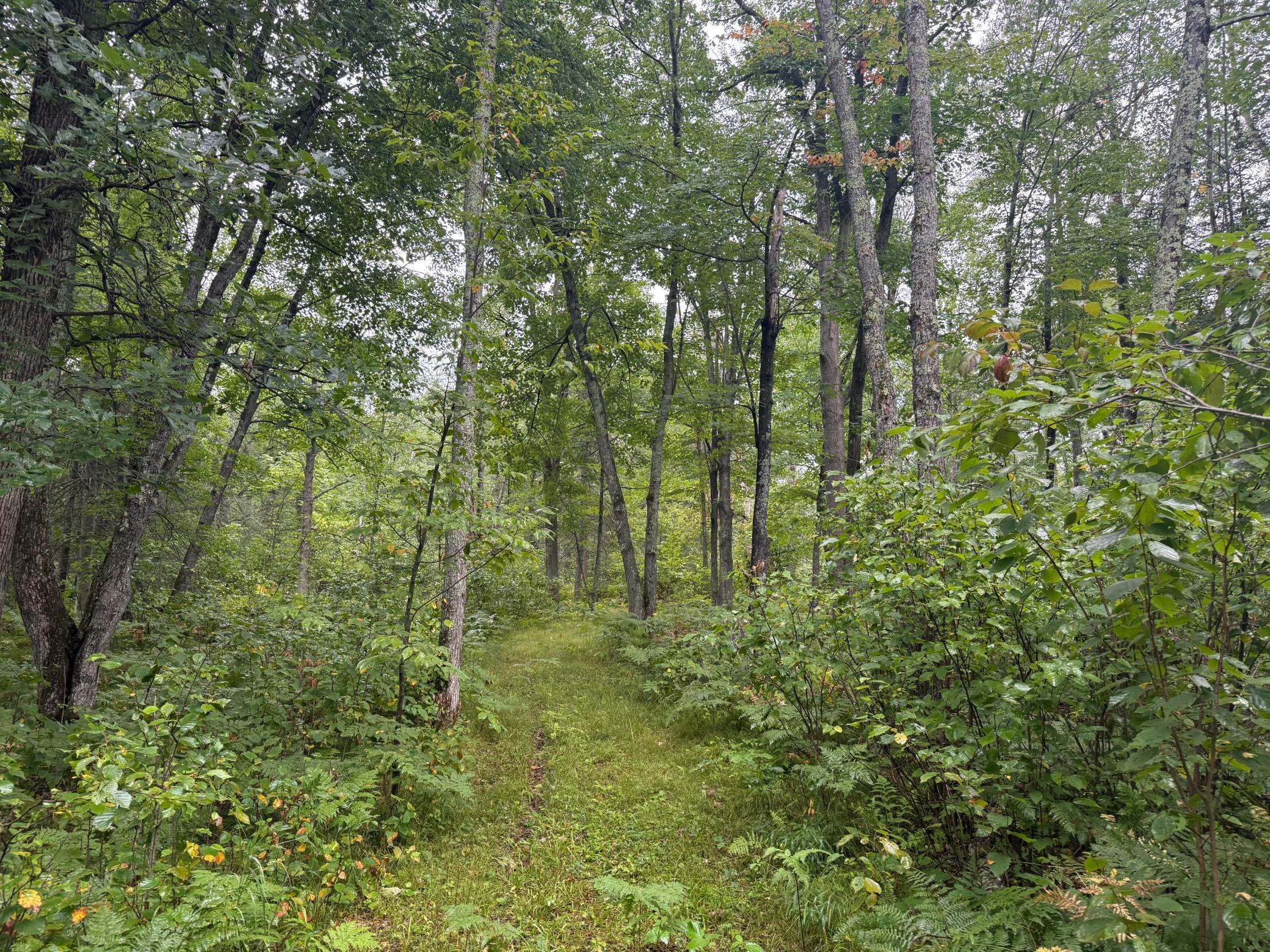 17001 White Spruce Road Property Photo 23
