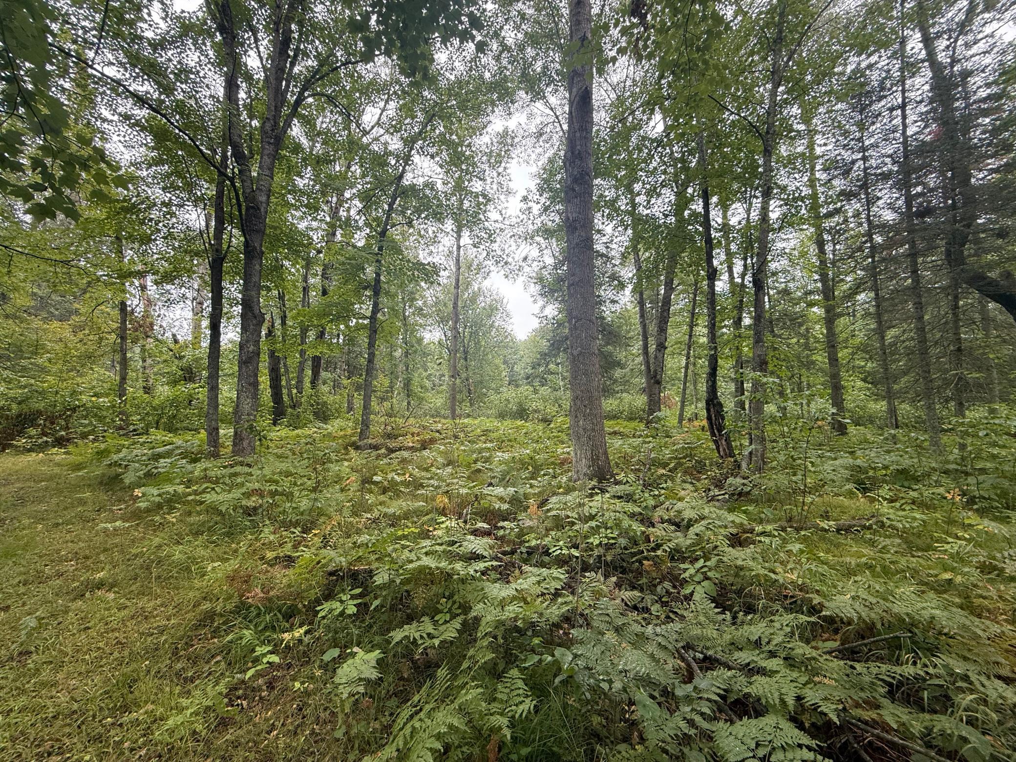 17001 White Spruce Road Property Photo 24