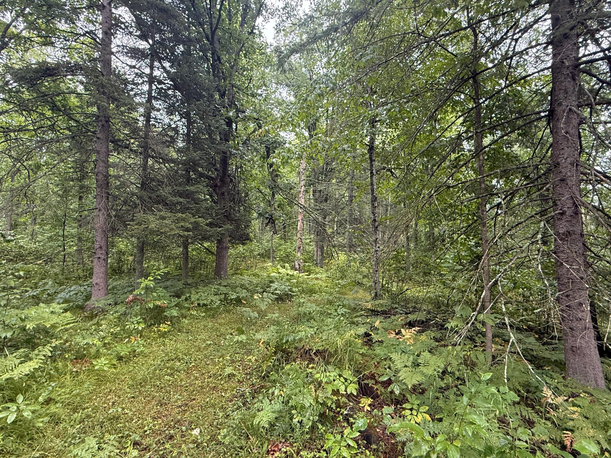 17001 White Spruce Road Property Photo 25
