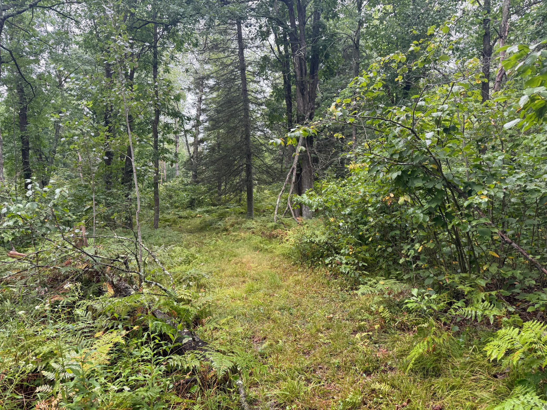 17001 White Spruce Road Property Photo 26