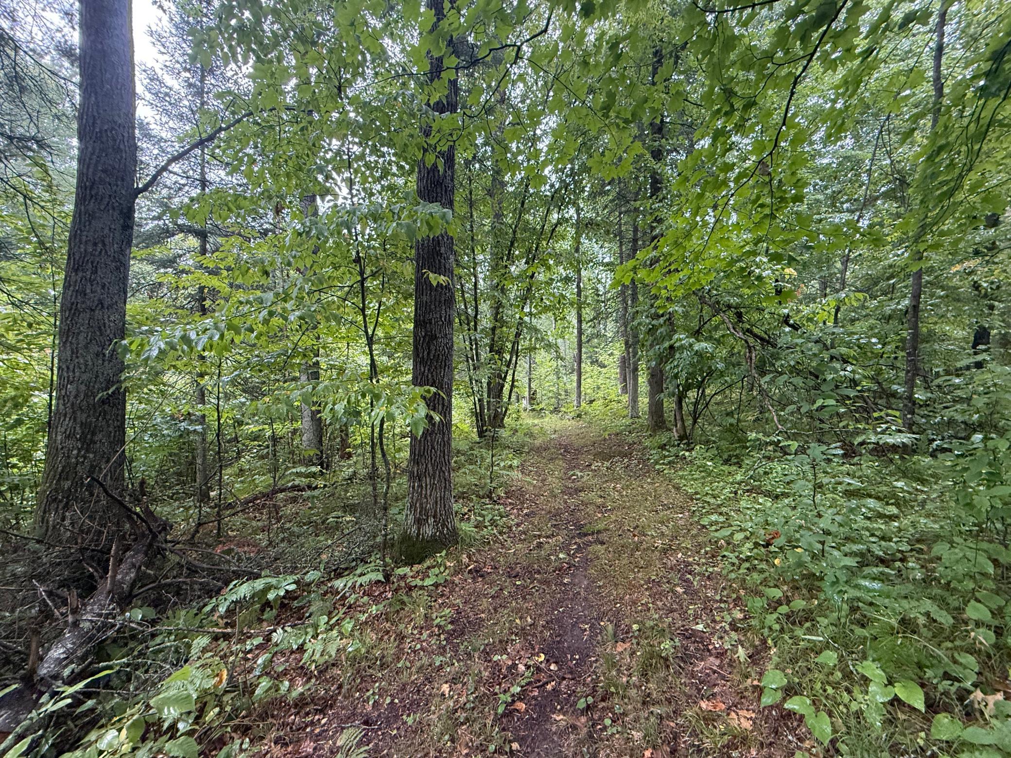 17001 White Spruce Road Property Photo 29