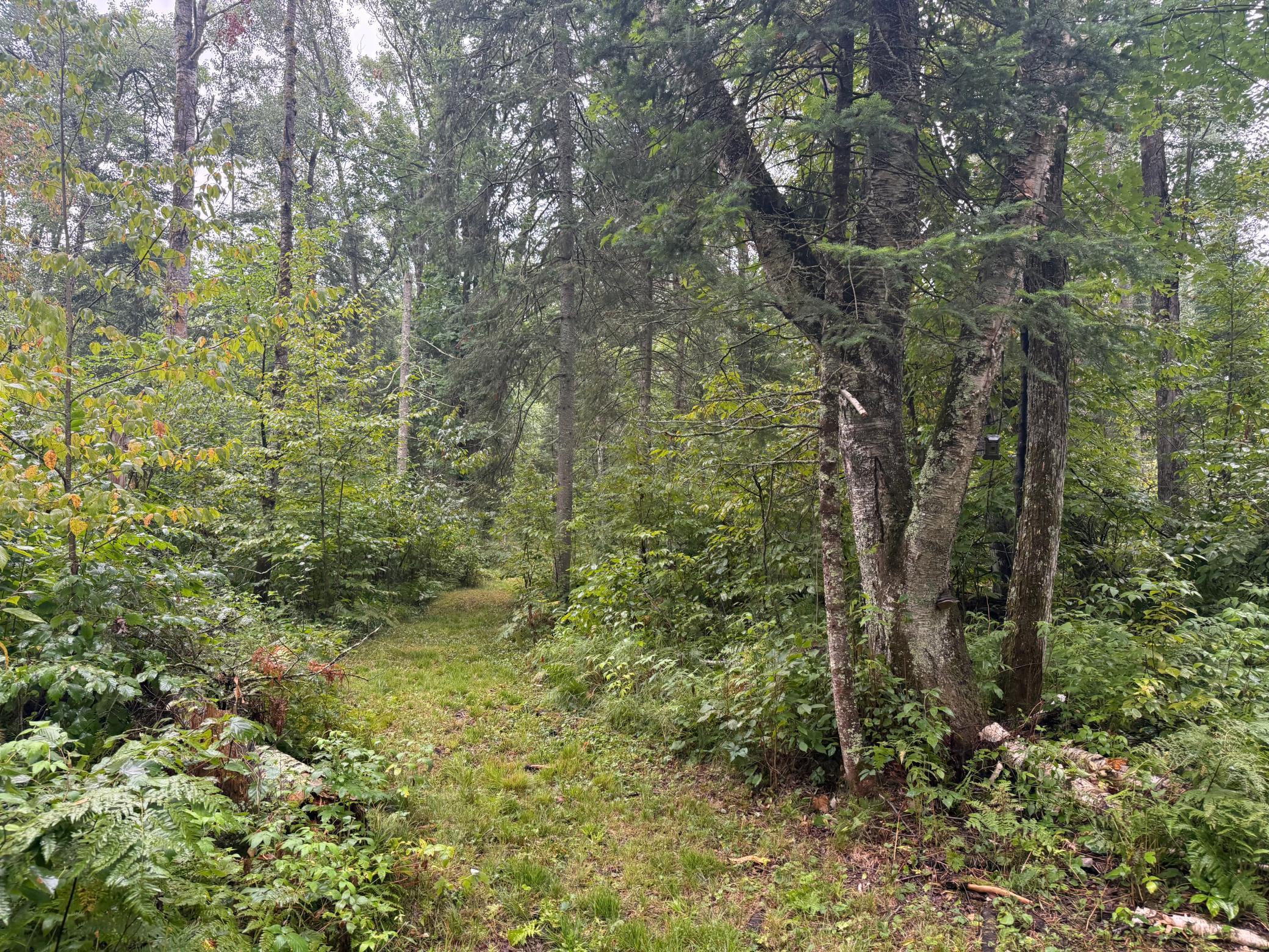 17001 White Spruce Road Property Photo 30