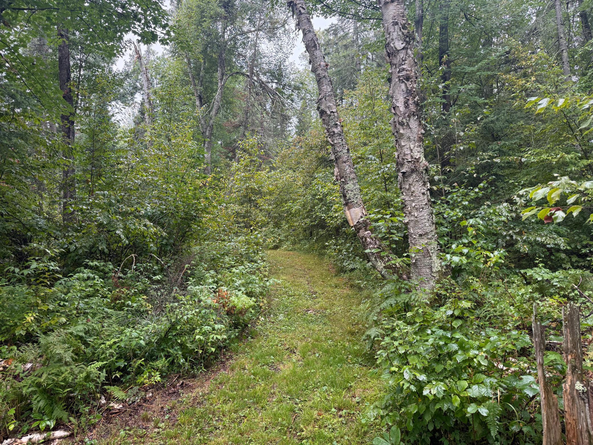 17001 White Spruce Road Property Photo 31