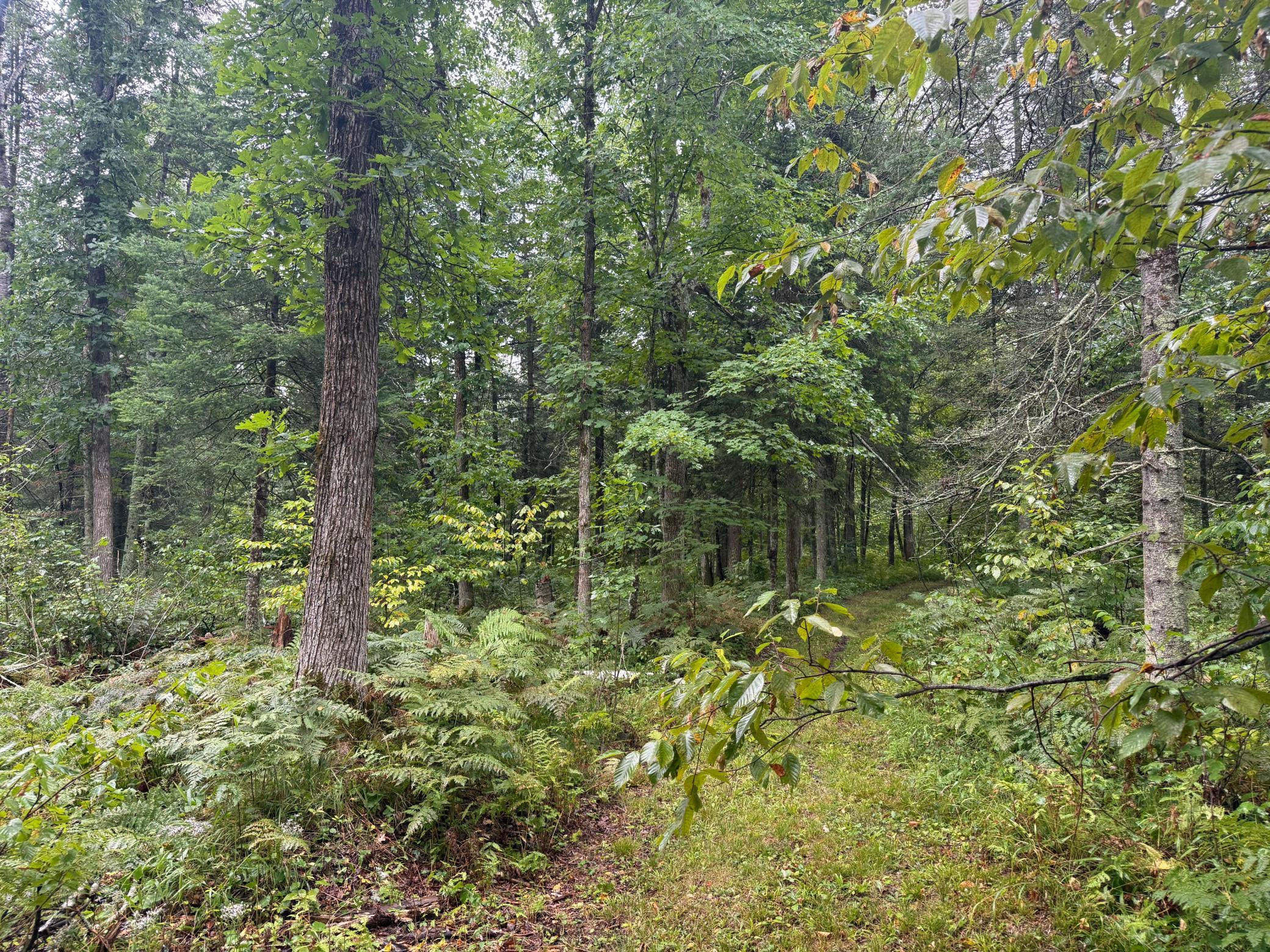 17001 White Spruce Road Property Photo 32
