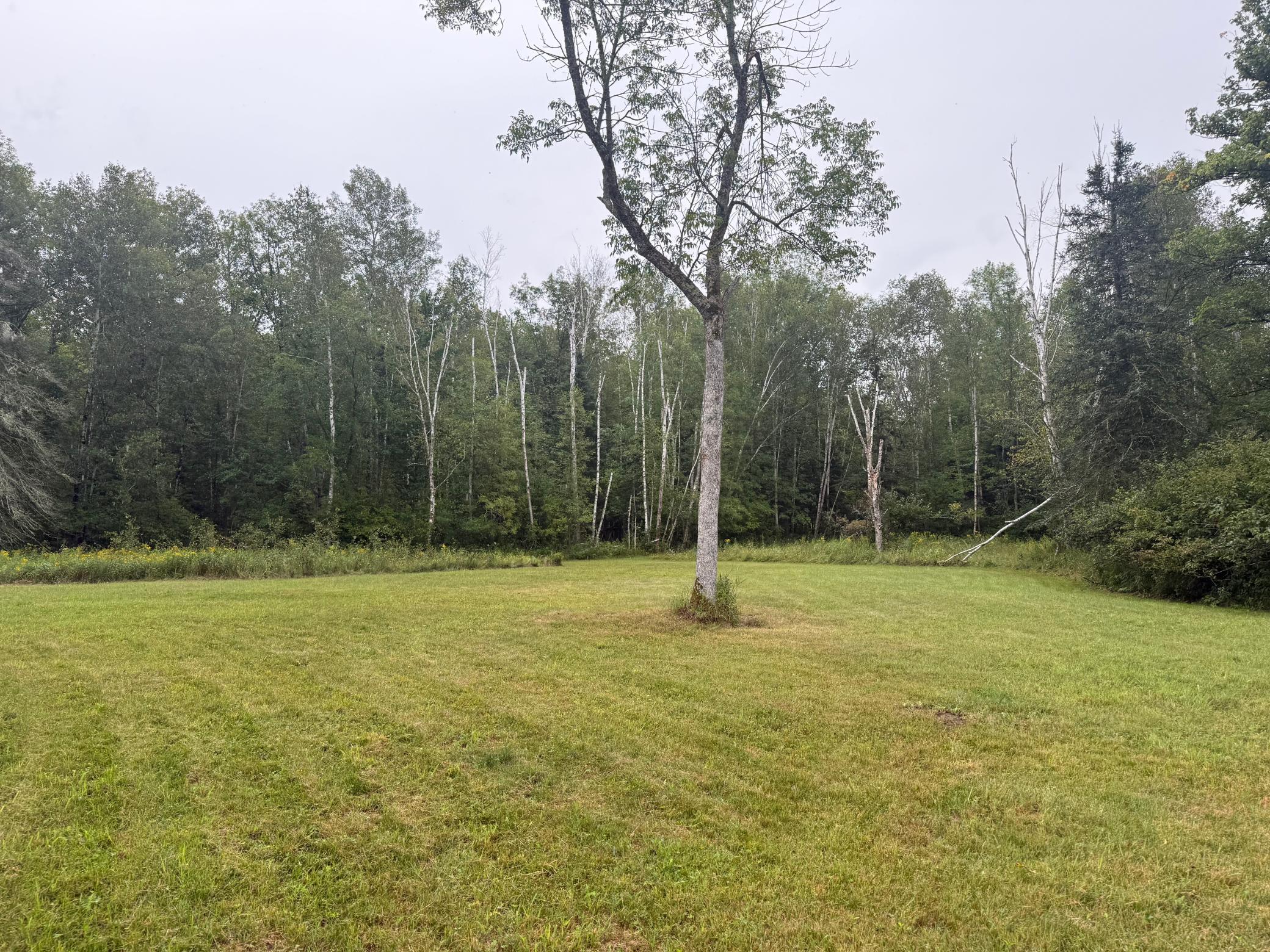 17001 White Spruce Road Property Photo 34