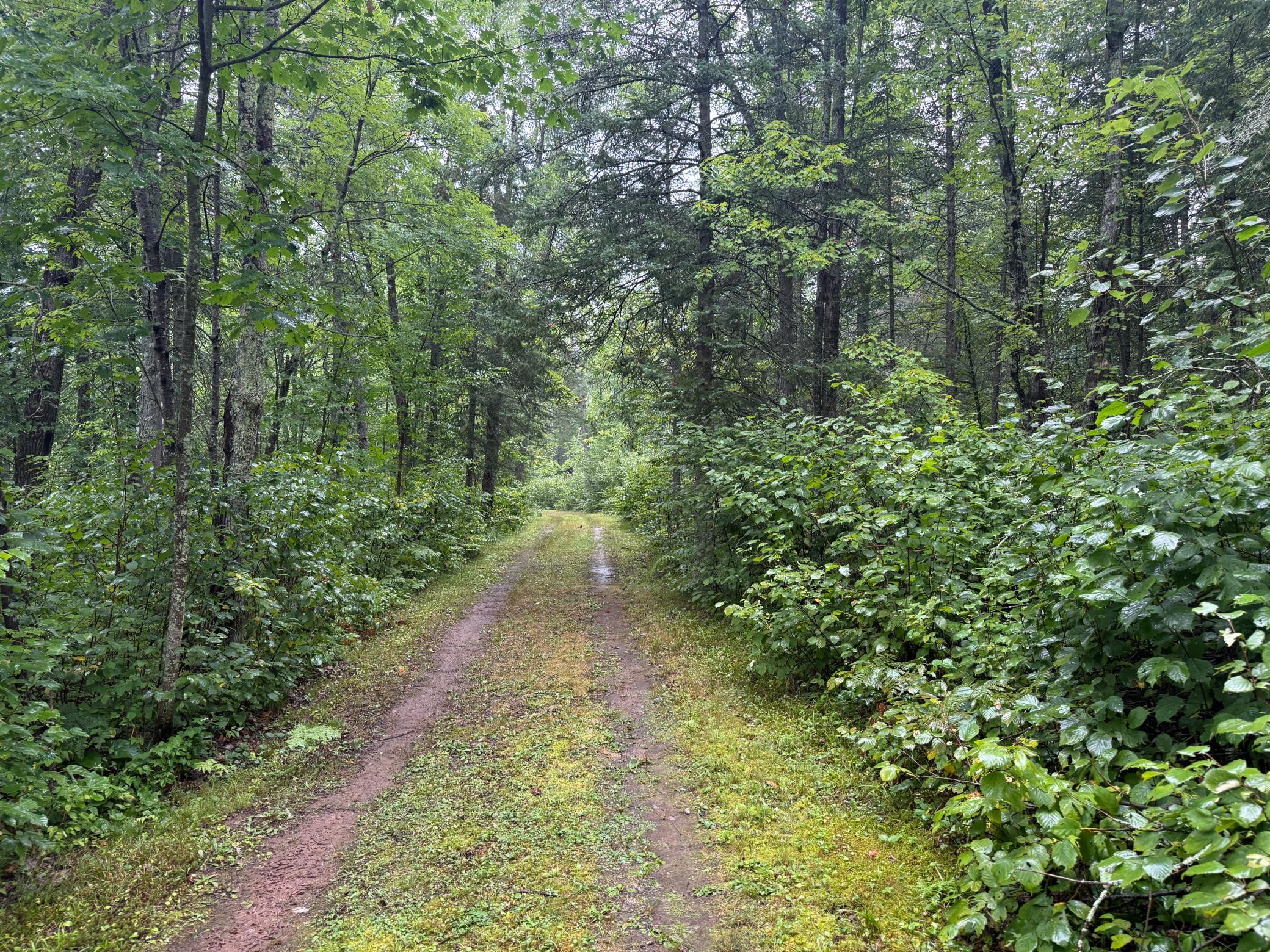 17001 White Spruce Road Property Photo 36