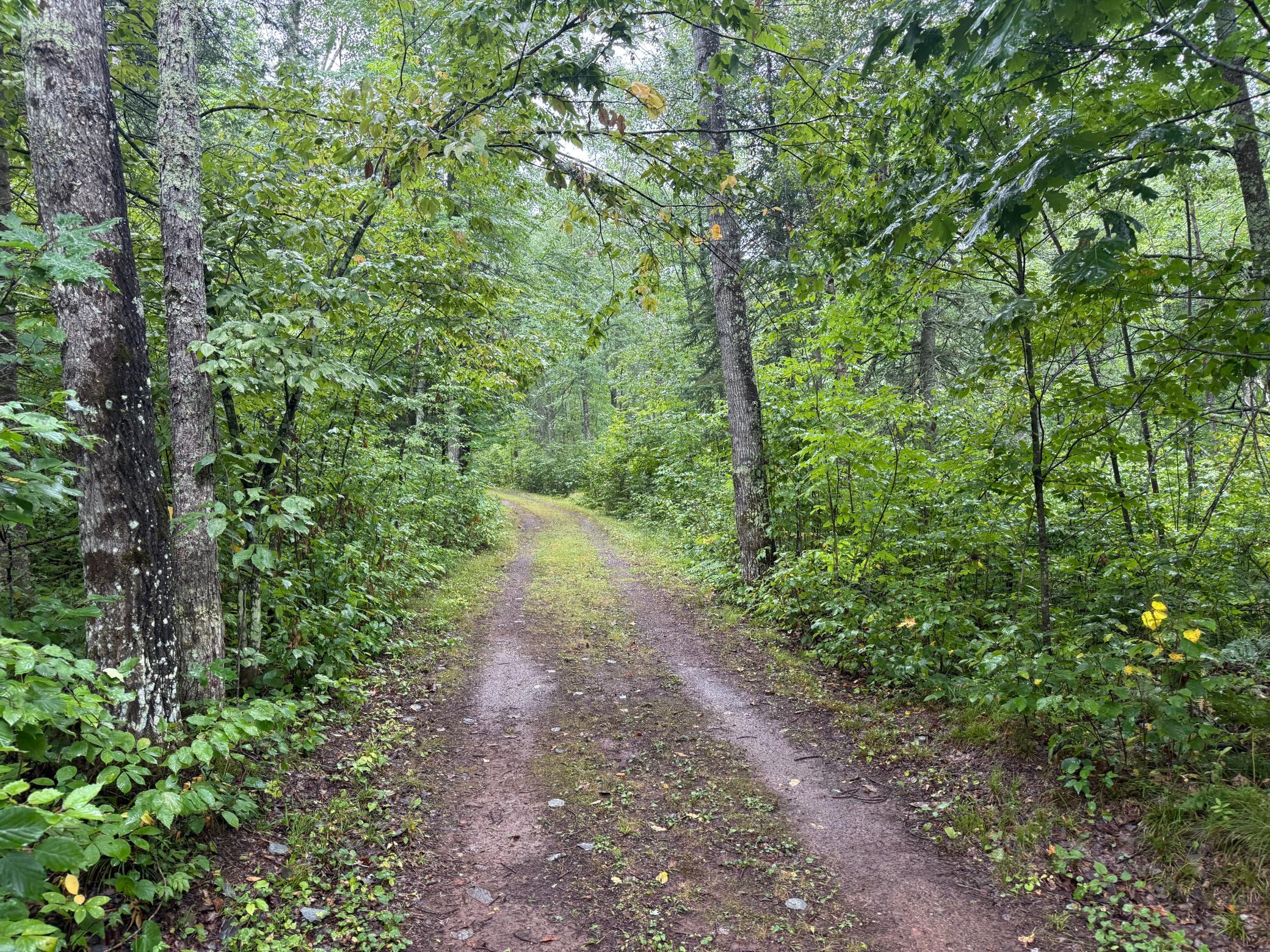 17001 White Spruce Road Property Photo 37