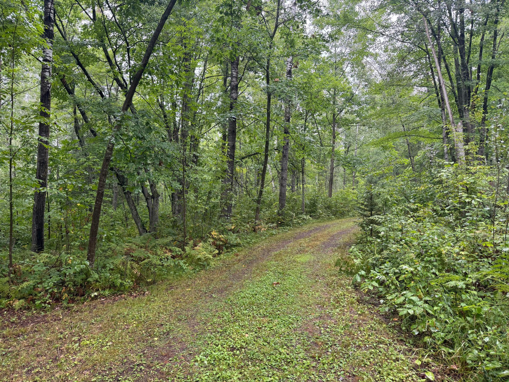 17001 White Spruce Road Property Photo 39