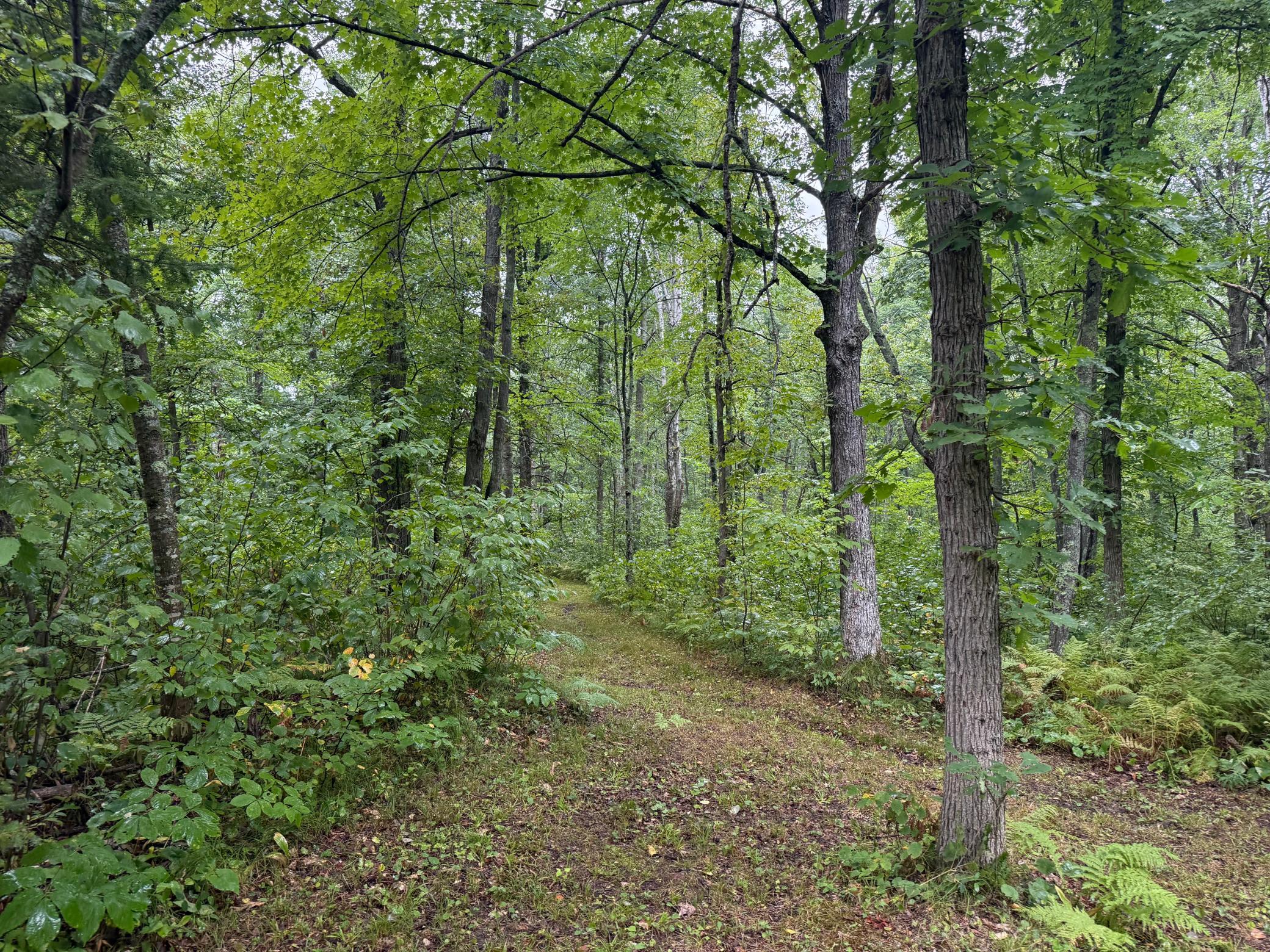 17001 White Spruce Road Property Photo 40