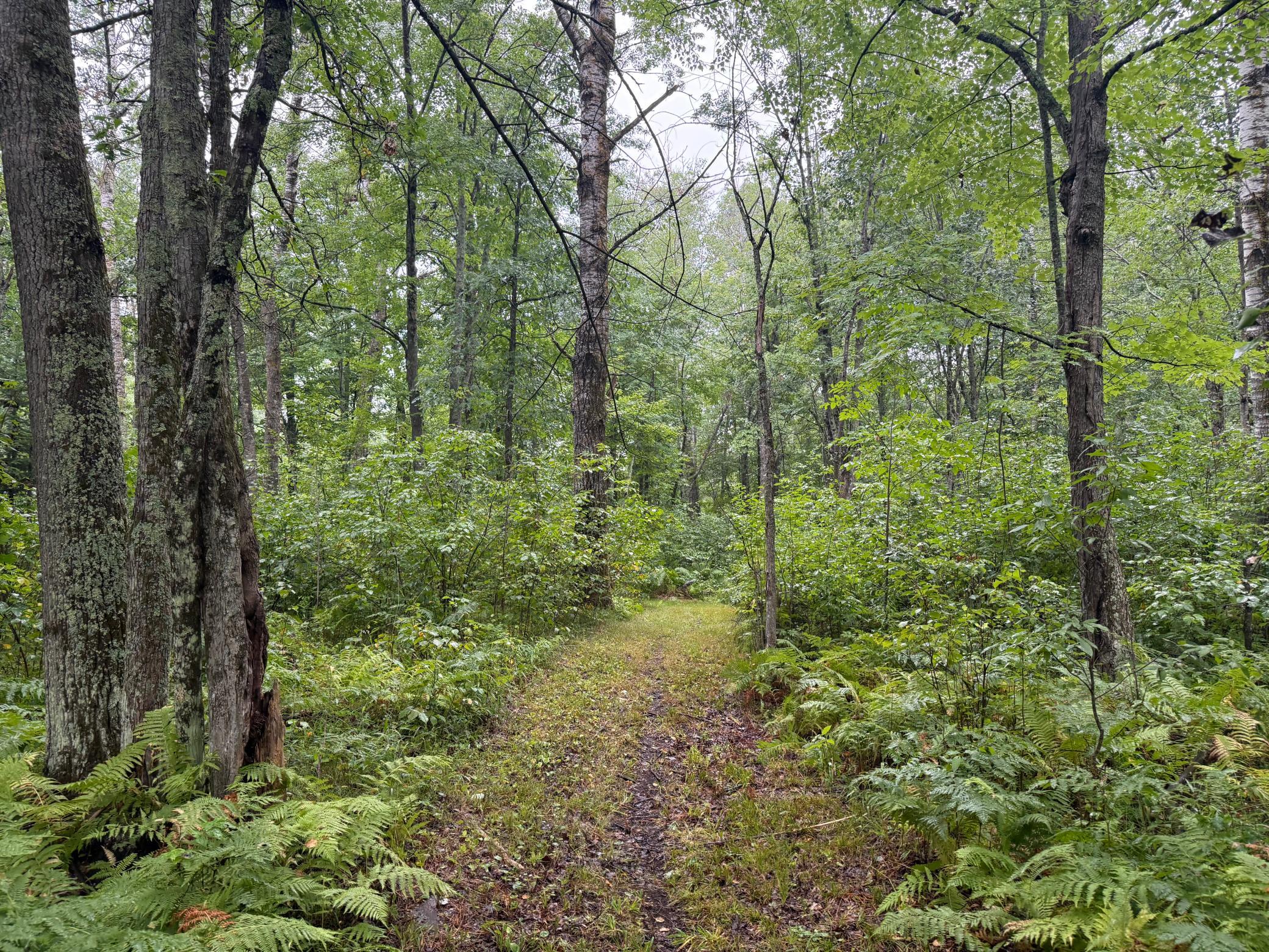 17001 White Spruce Road Property Photo 41