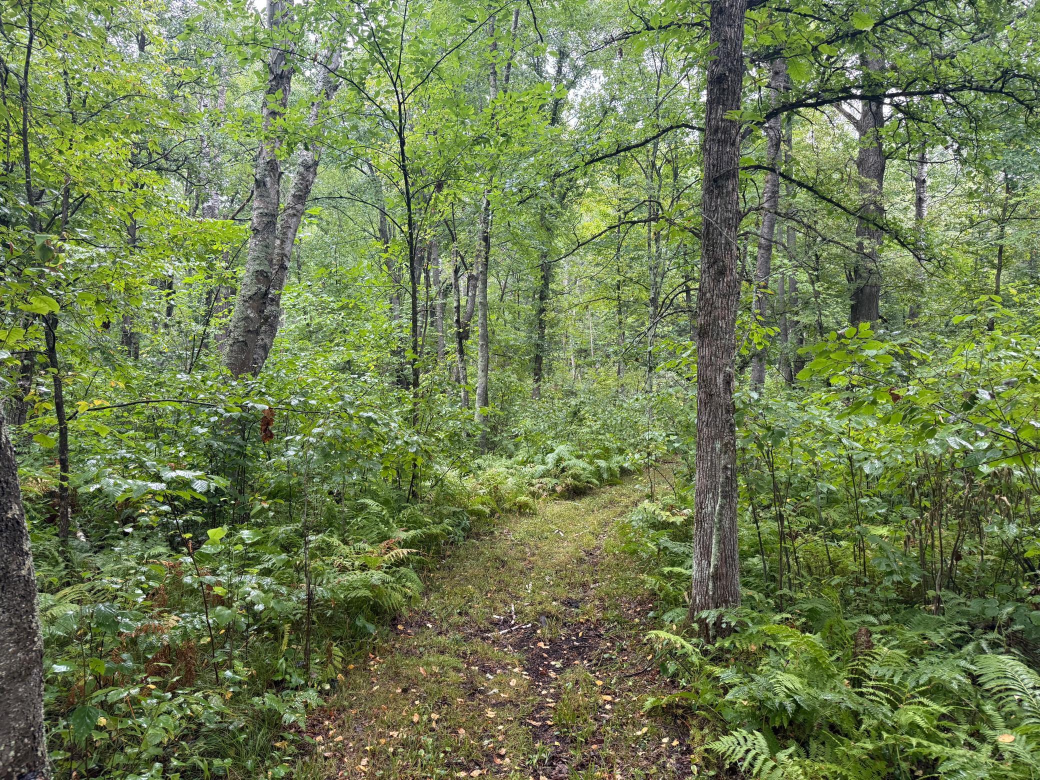 17001 White Spruce Road Property Photo 42