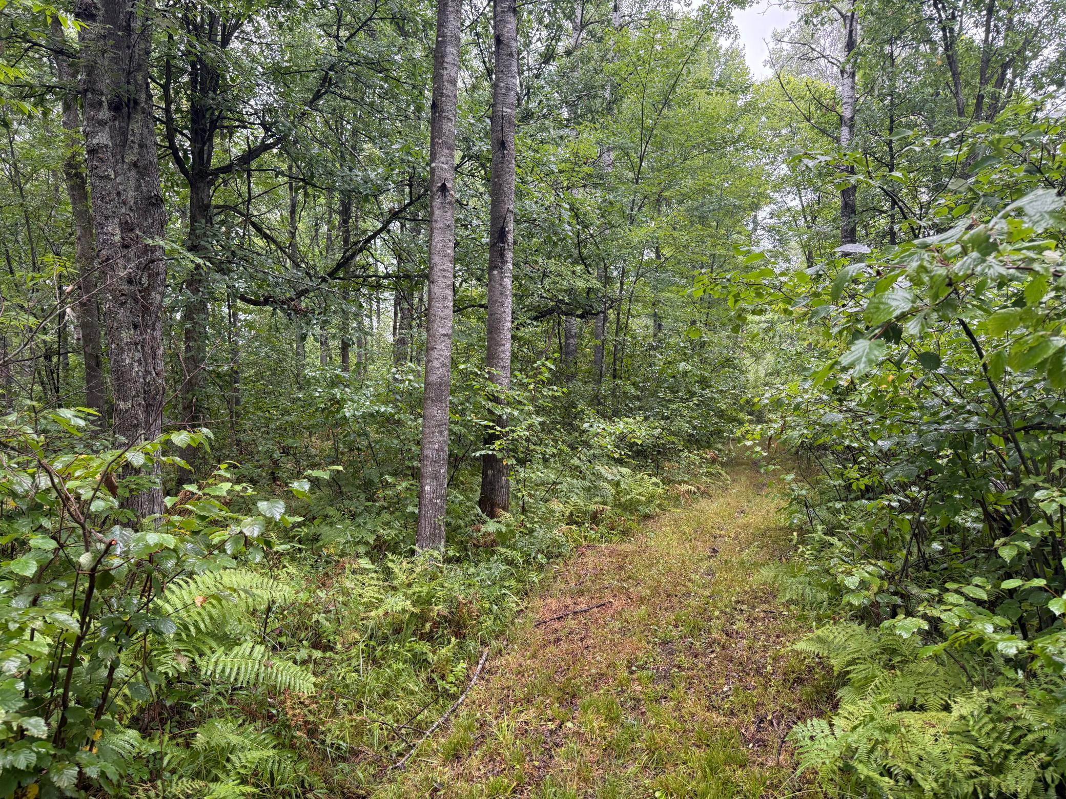 17001 White Spruce Road Property Photo 43
