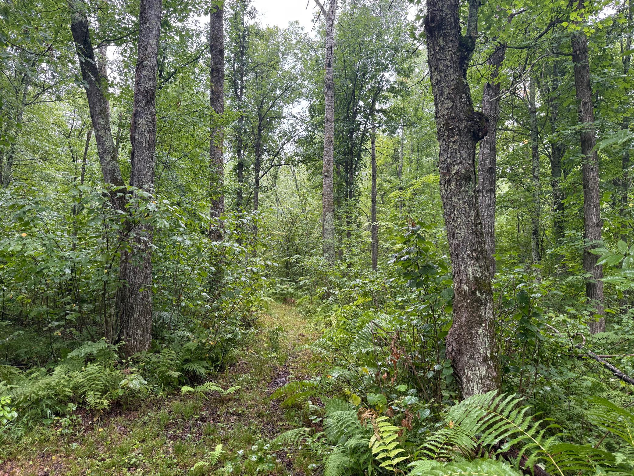17001 White Spruce Road Property Photo 44