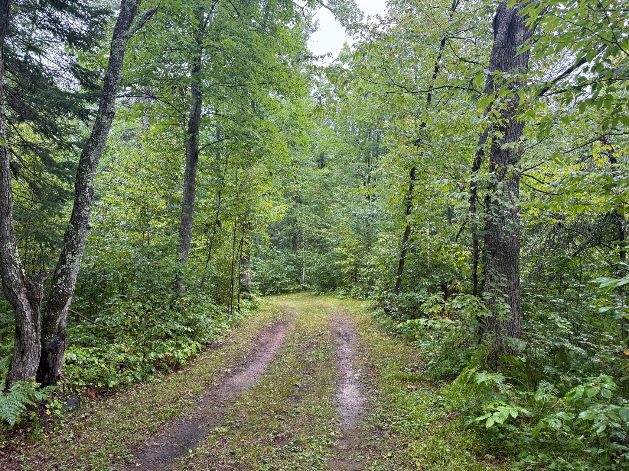 17001 White Spruce Road Property Photo 45