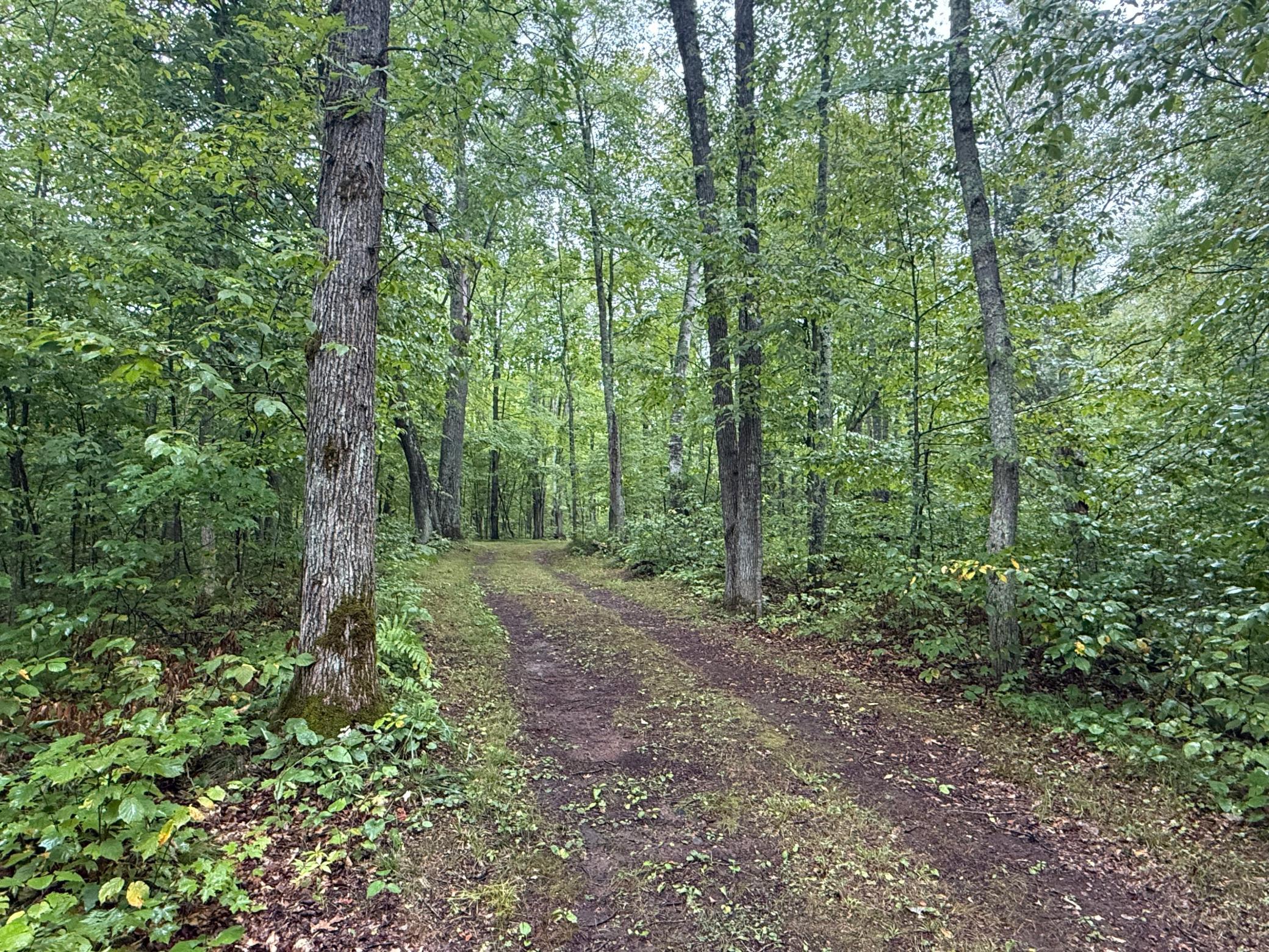 17001 White Spruce Road Property Photo 46