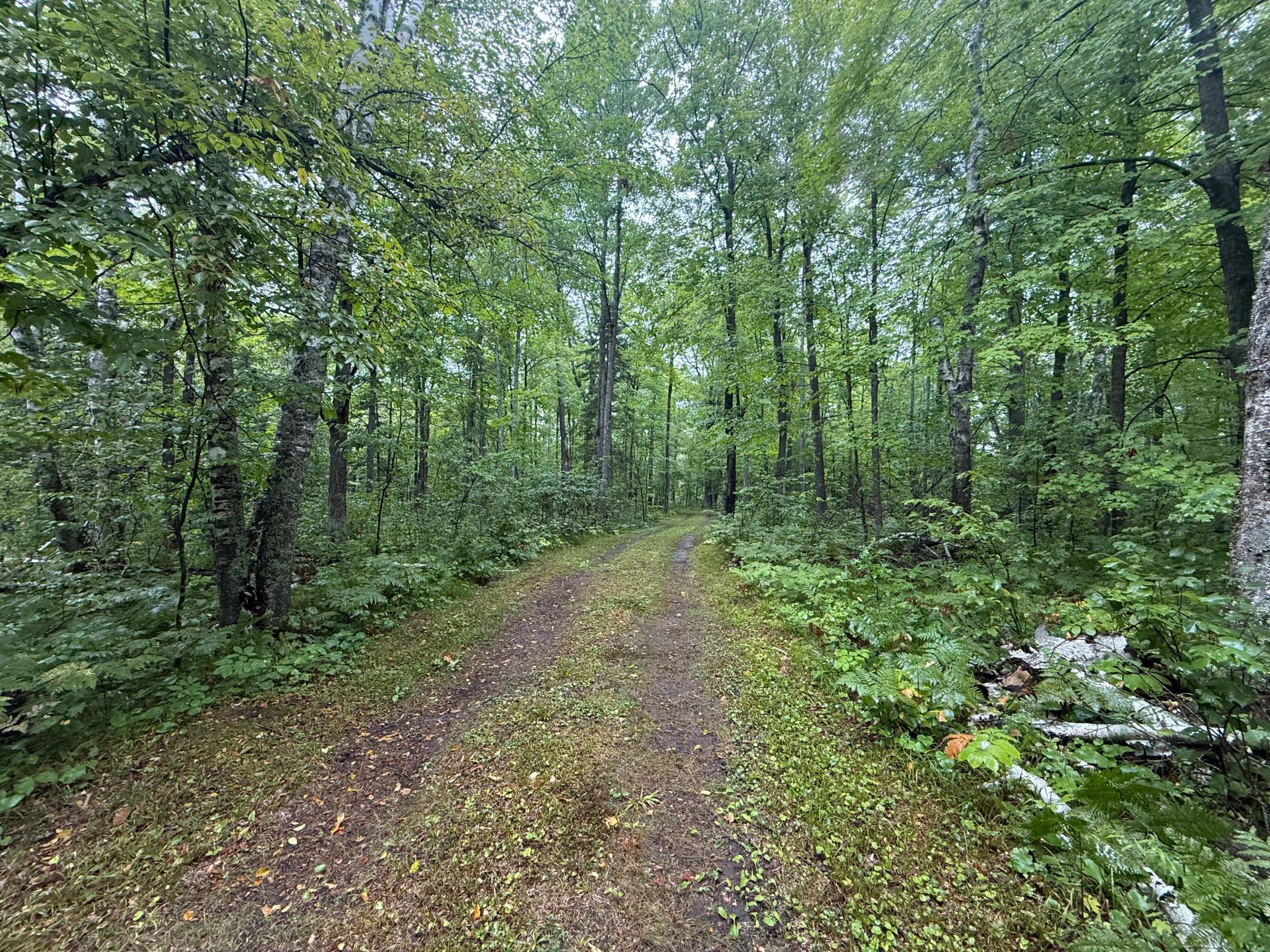 17001 White Spruce Road Property Photo 47
