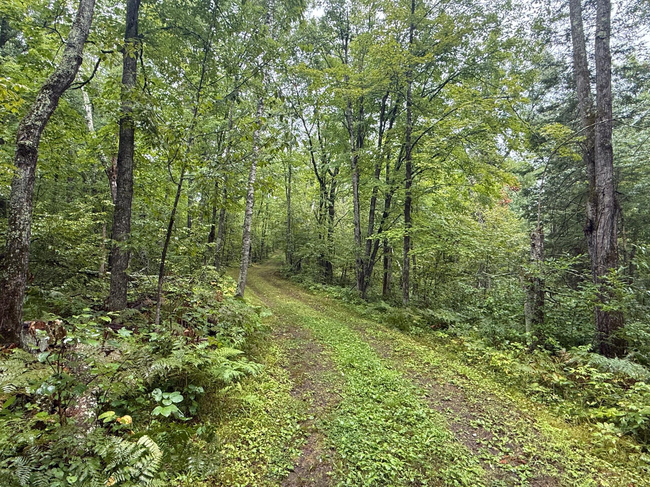 17001 White Spruce Road Property Photo 48