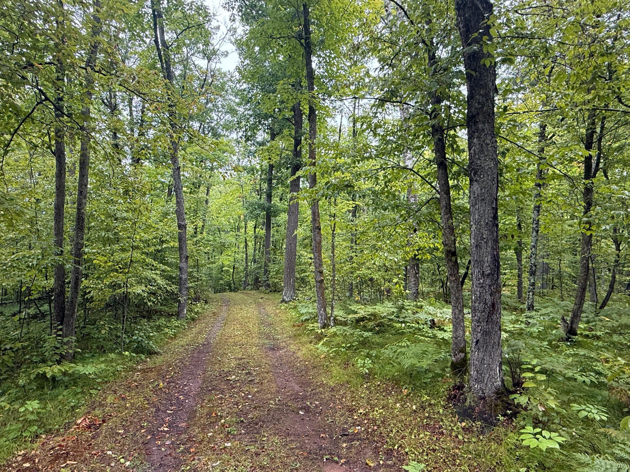 17001 White Spruce Road Property Photo 49