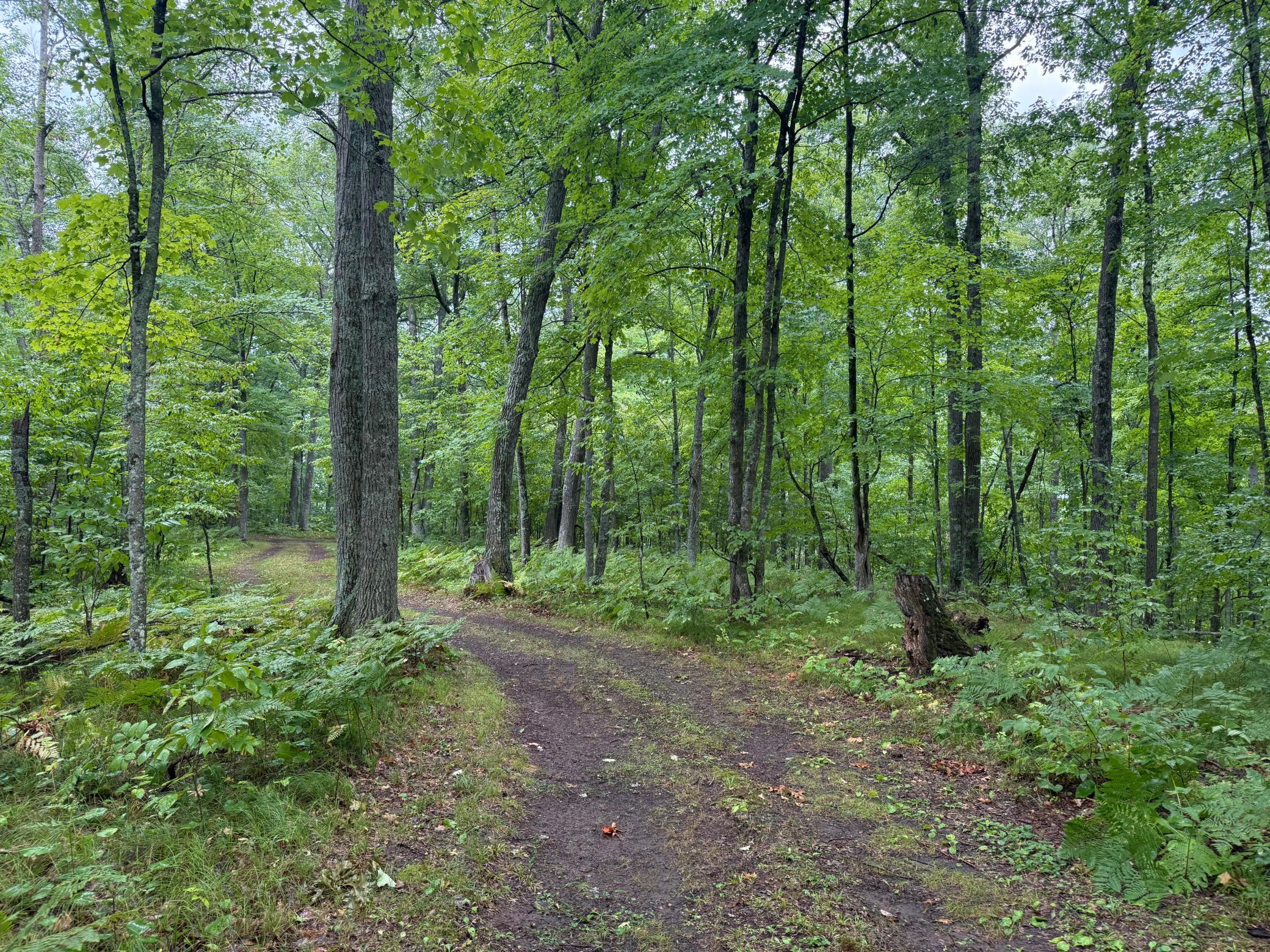 17001 White Spruce Road Property Photo 53