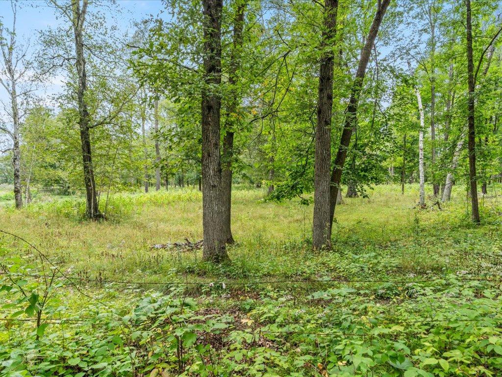 33021 State Highway 210 Property Photo 42