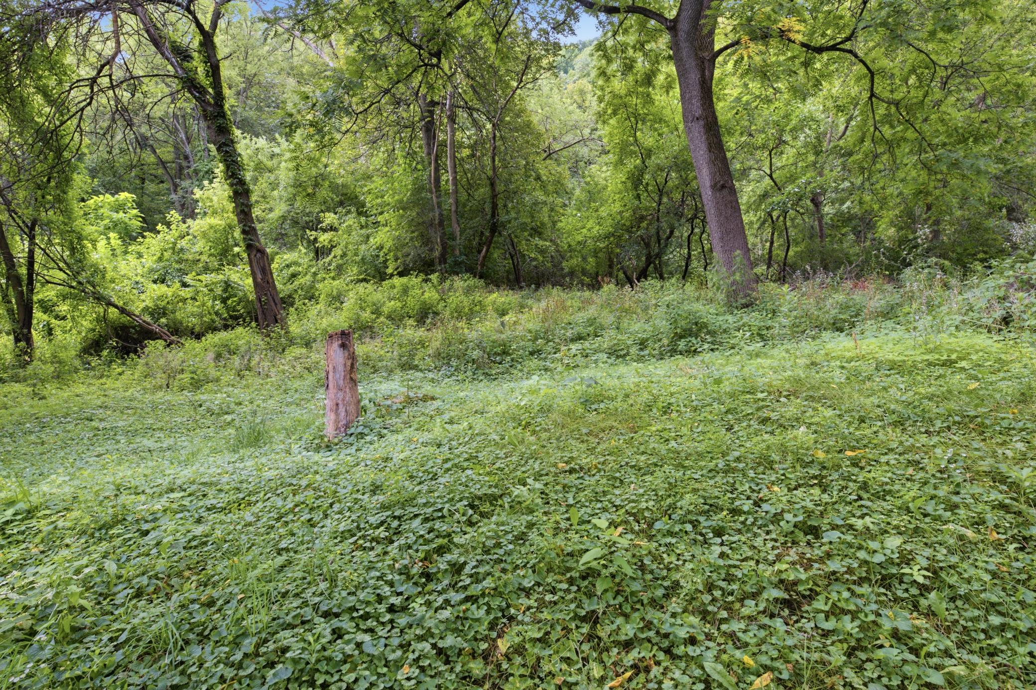 149 E Lake Boulevard Property Photo 23